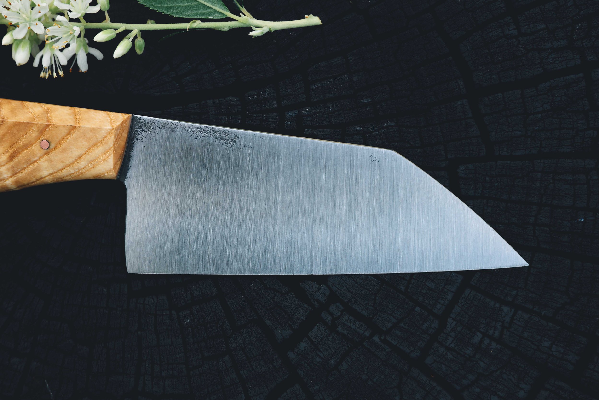 ktip ash burl-5.jpg