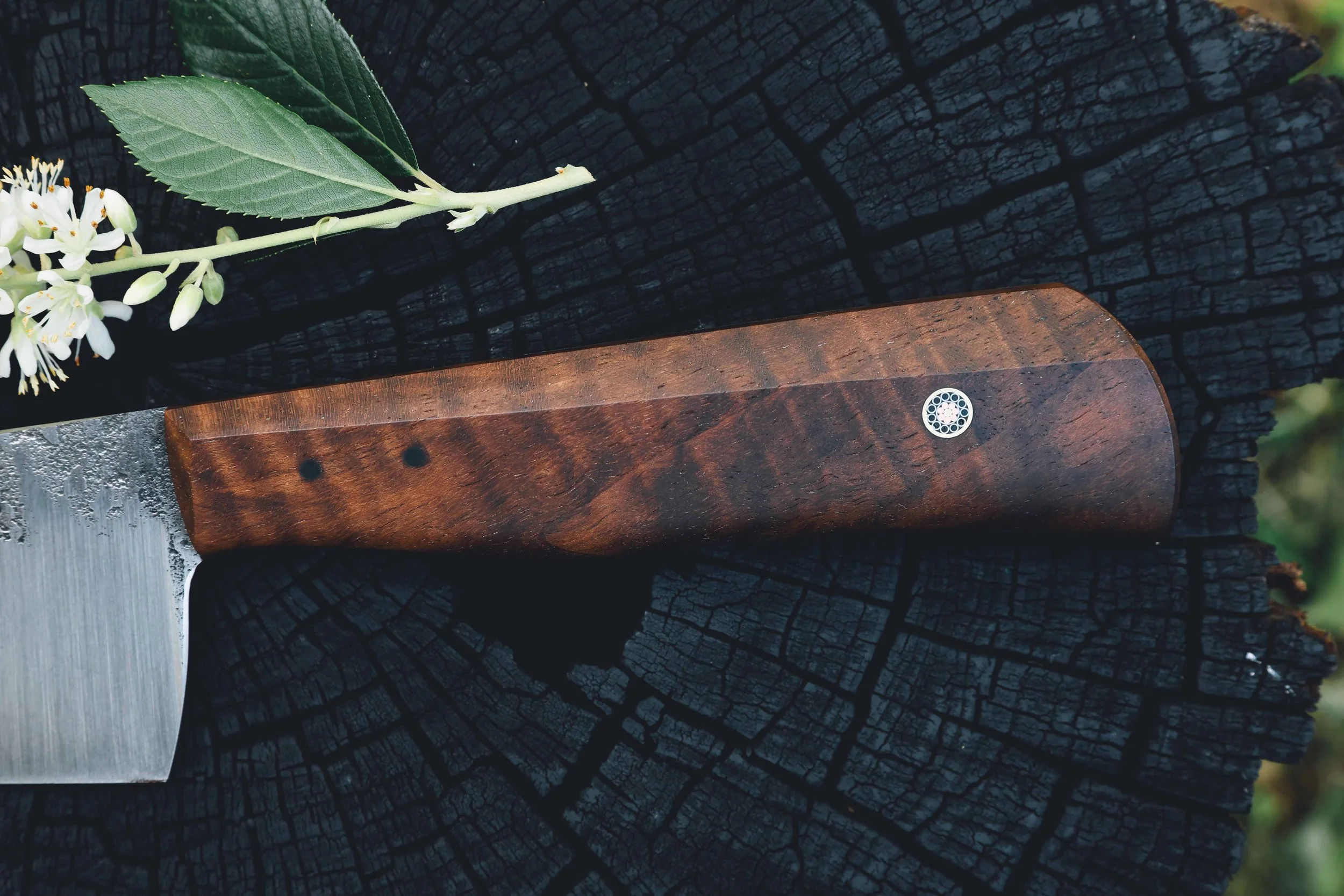 ktip walnut-3.jpg