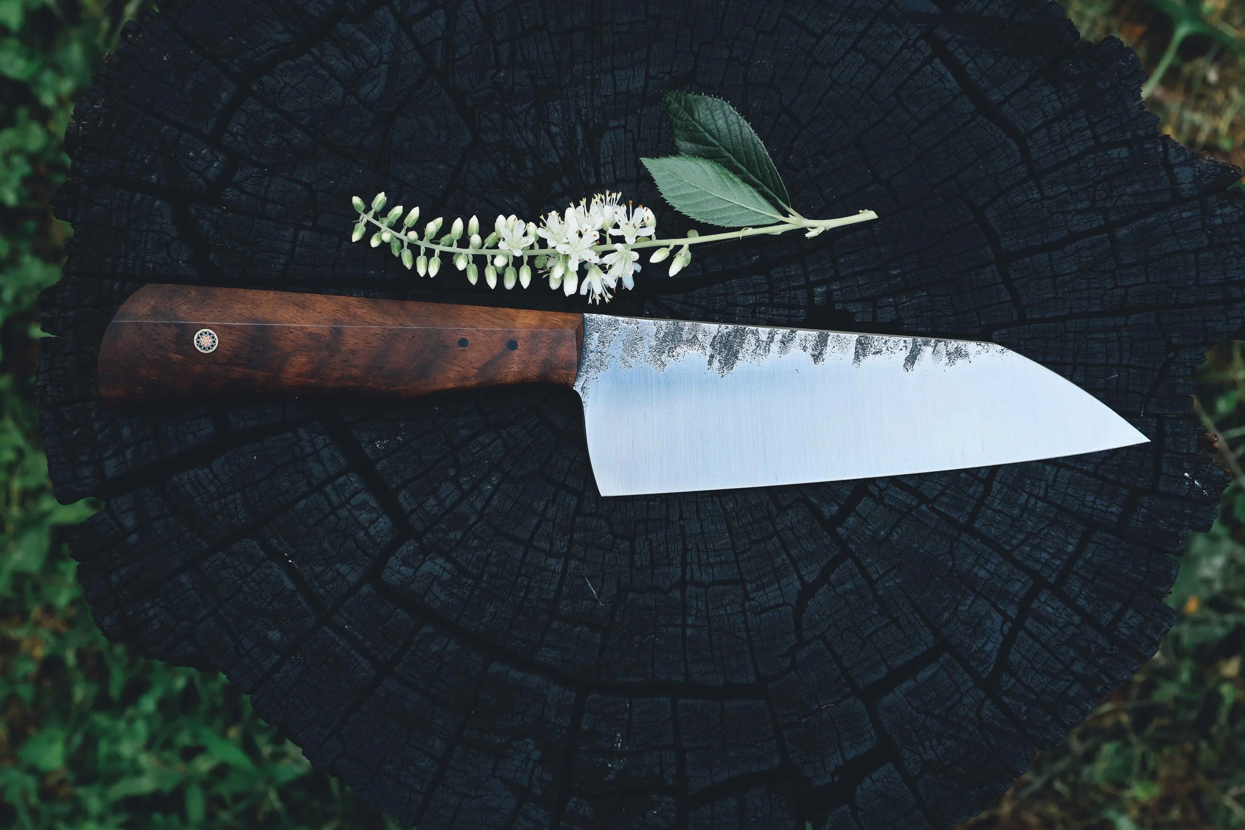 ktip walnut-4.jpg