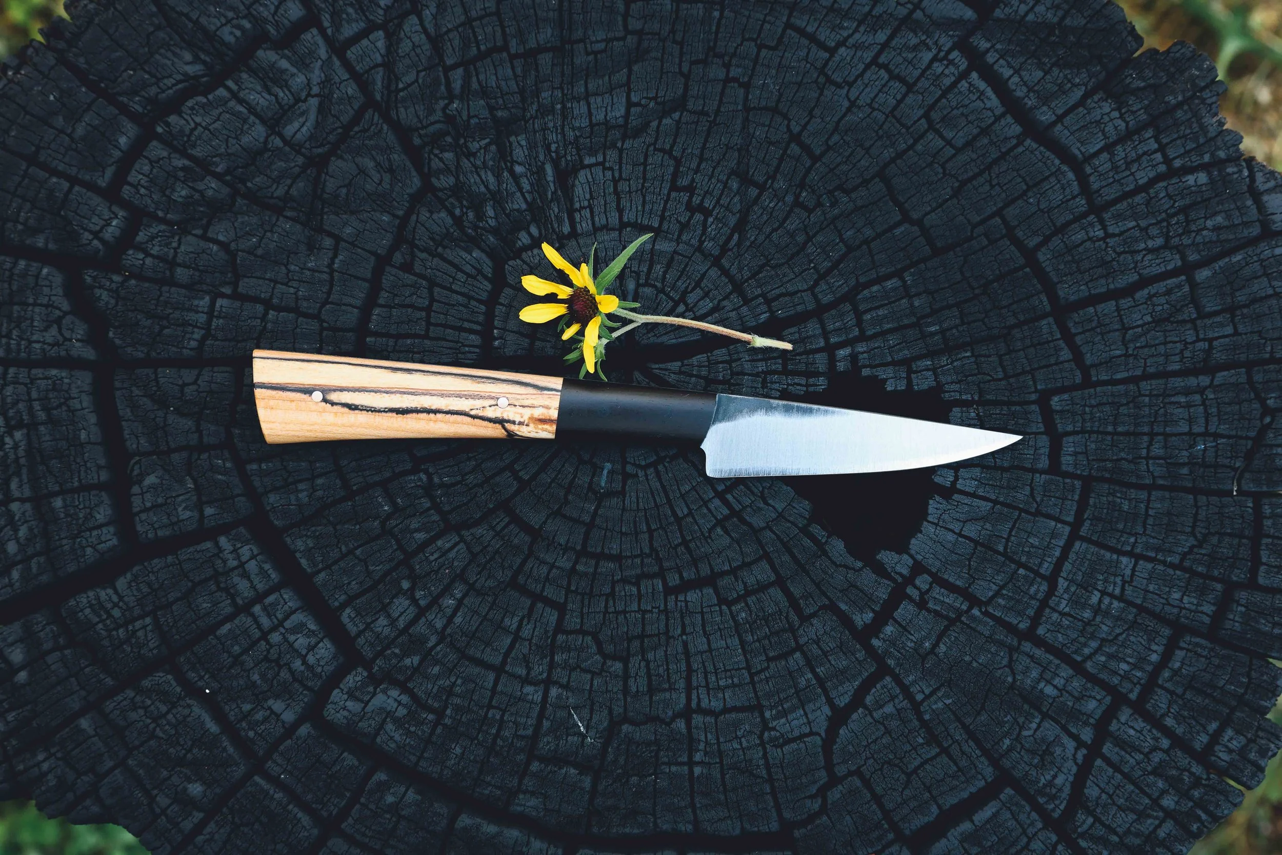 small spalted blackwood-2.jpg