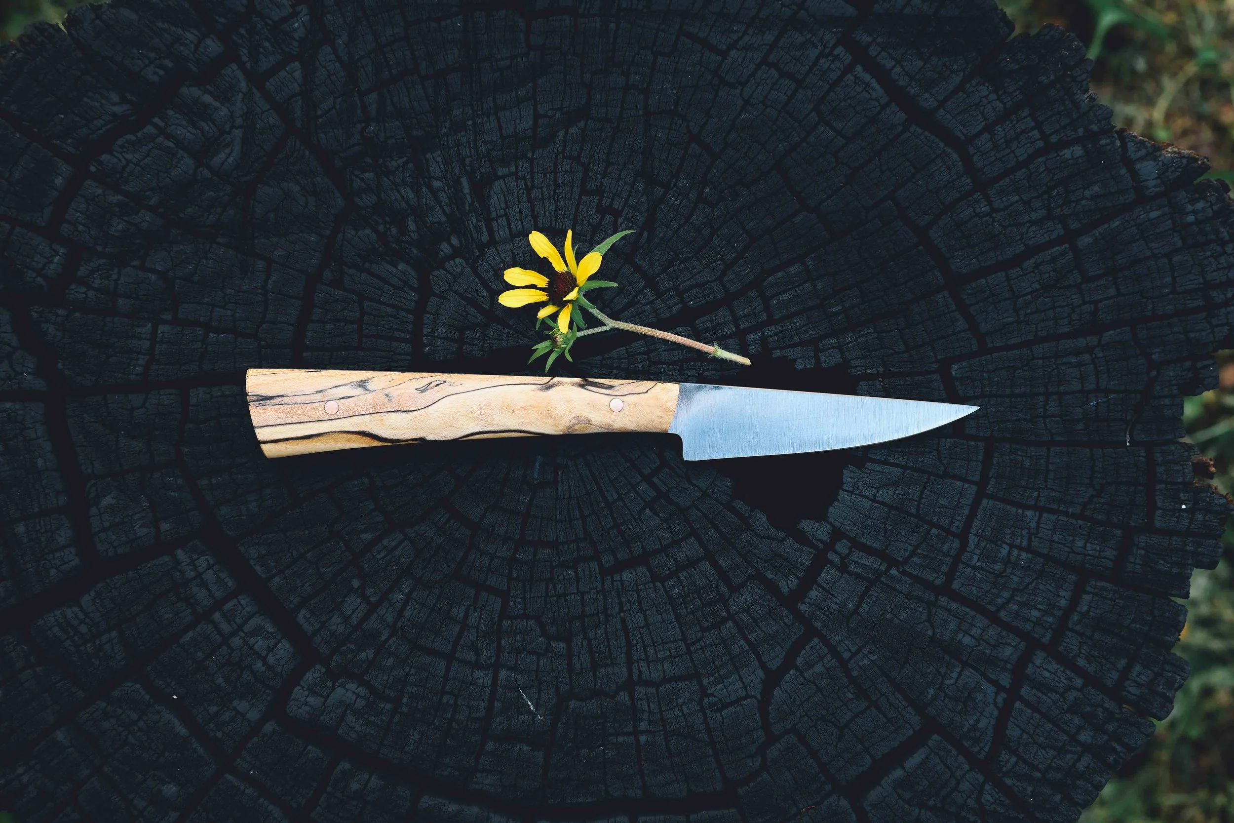 small spalted-2.jpg