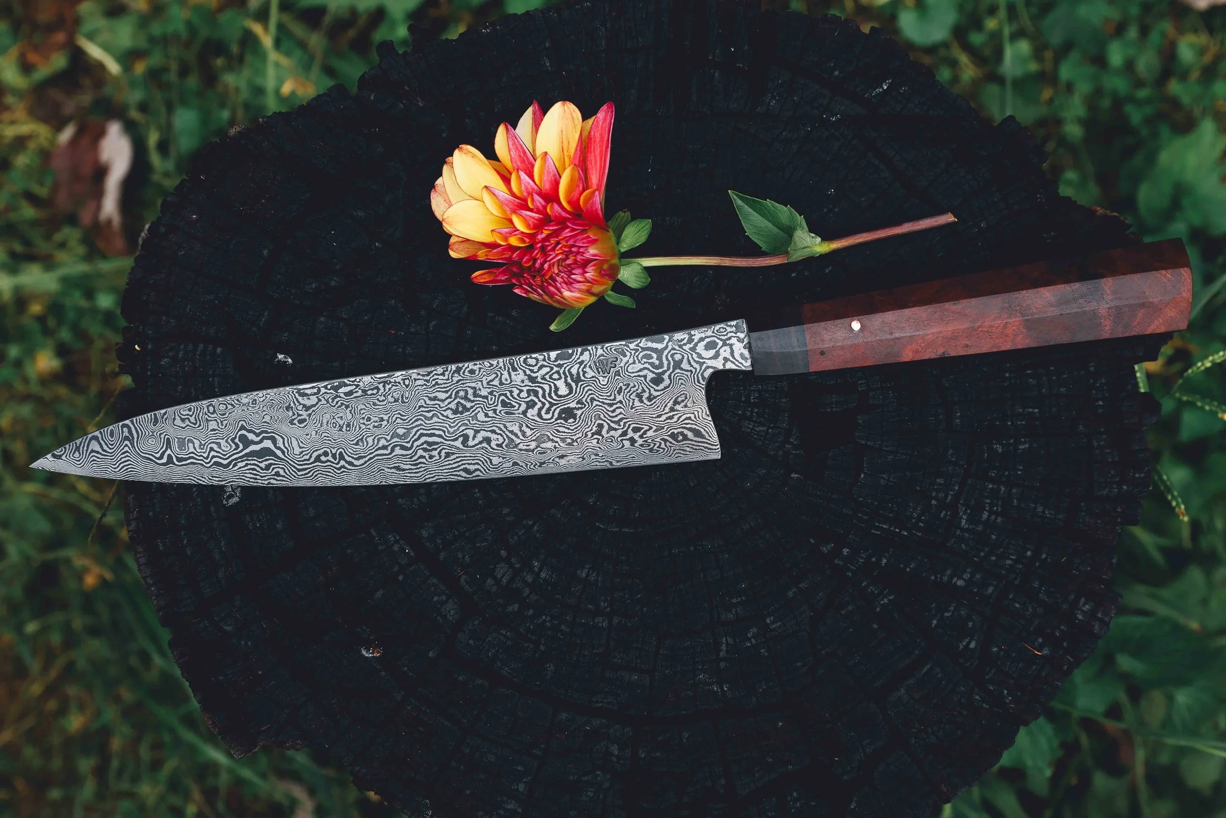 antique cherry sujichef damascus.jpg