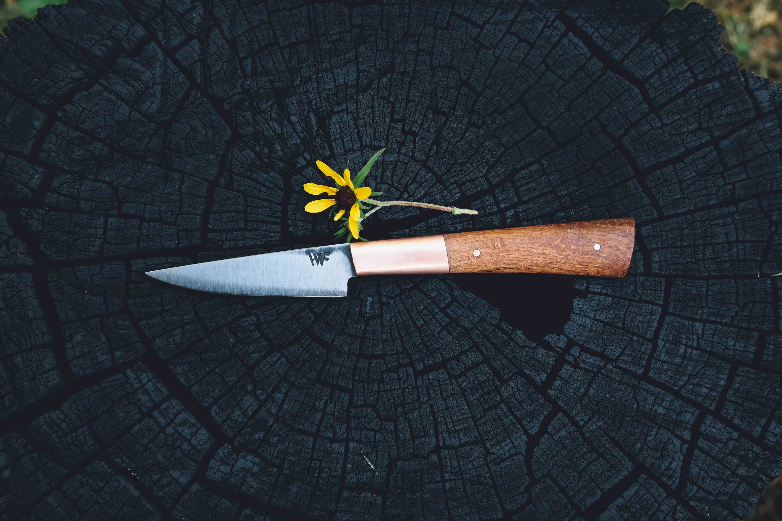 small shanks copper.jpg