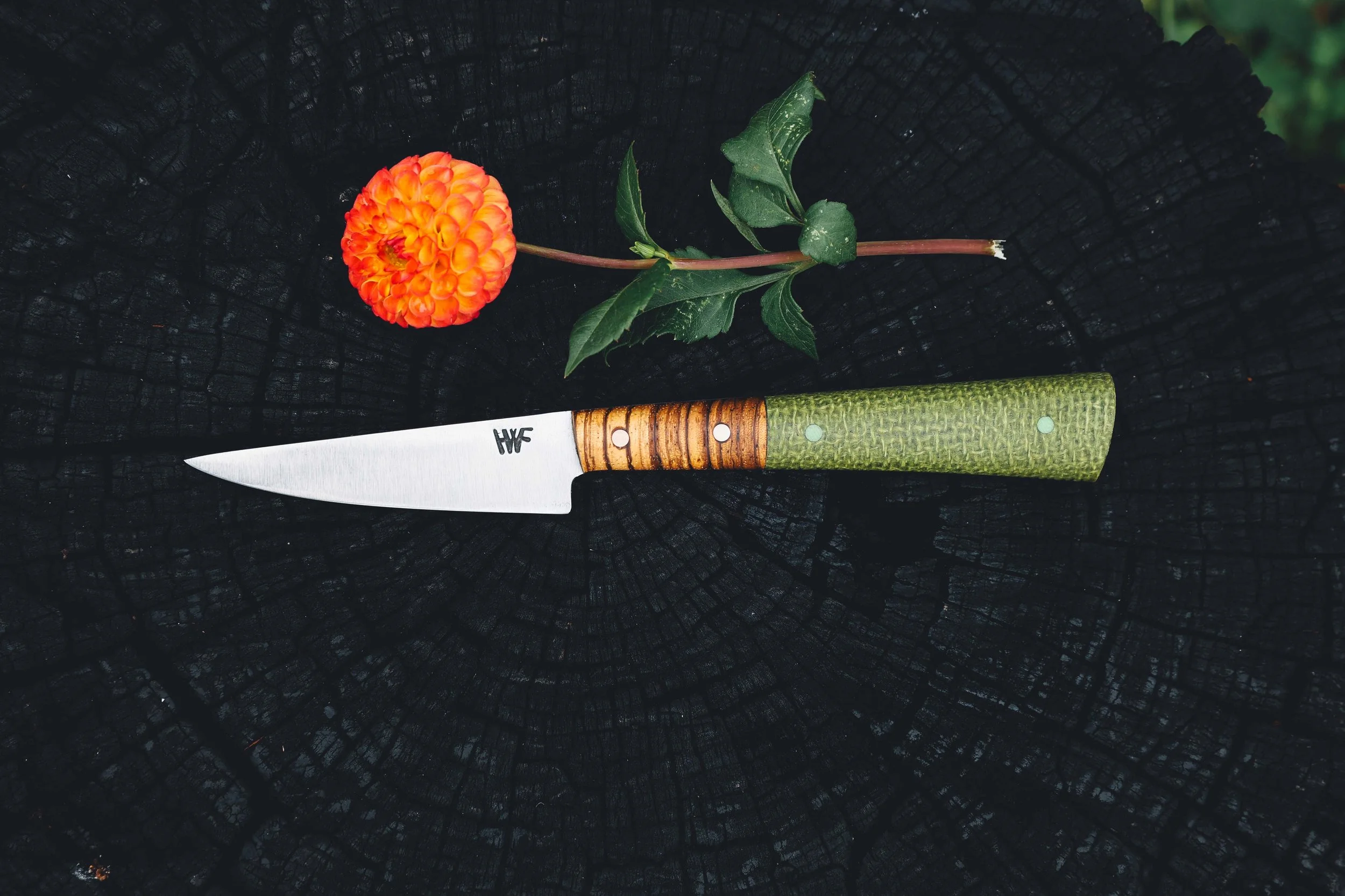 small green bocote.jpg