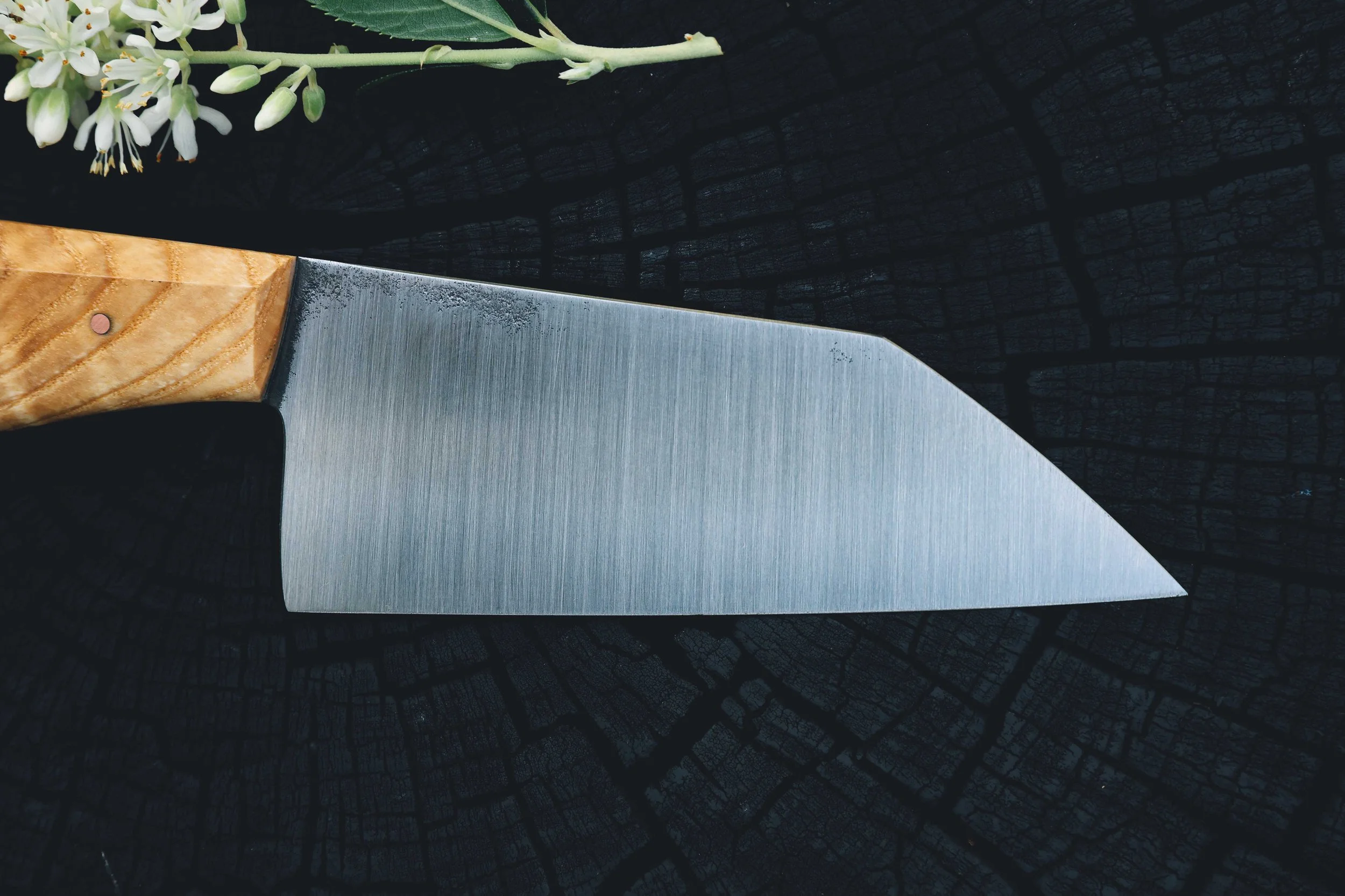ktip ash burl-5.jpg