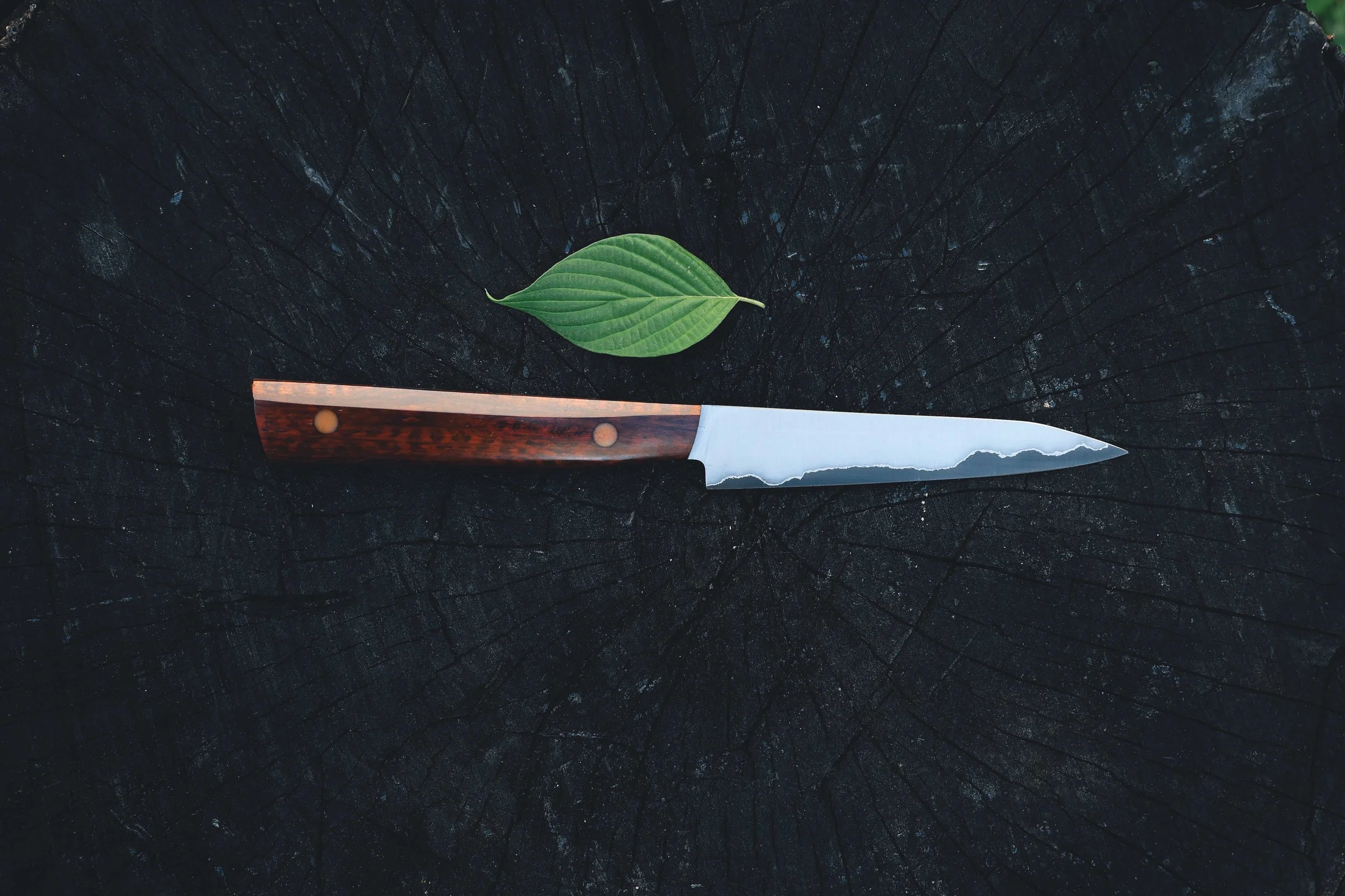 snakewood XL paring-2.jpg