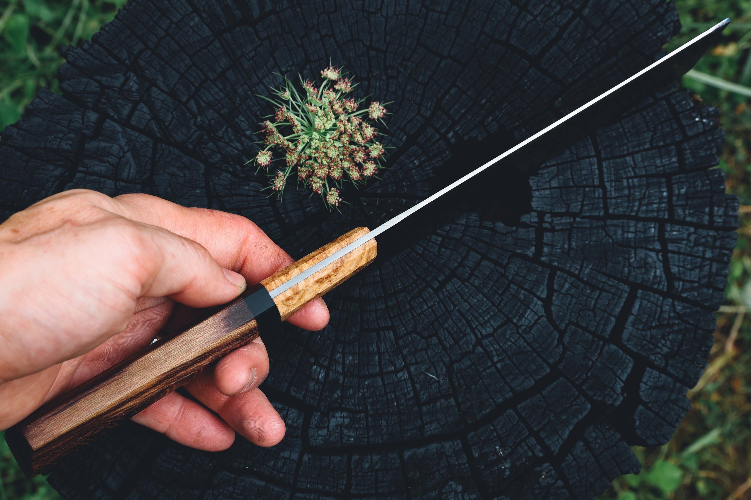 nakiri syca trout-7.jpg