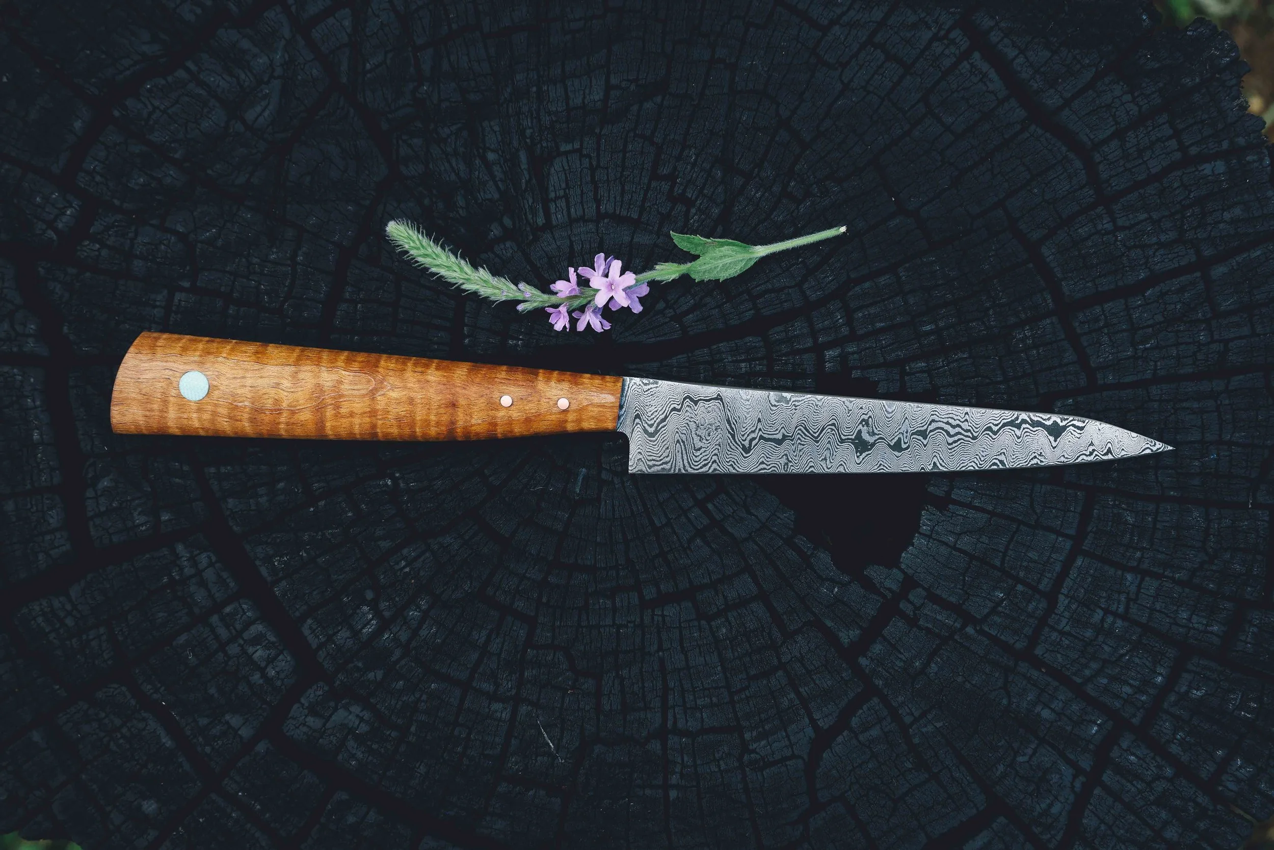 XL paring maple damascus-4.jpg