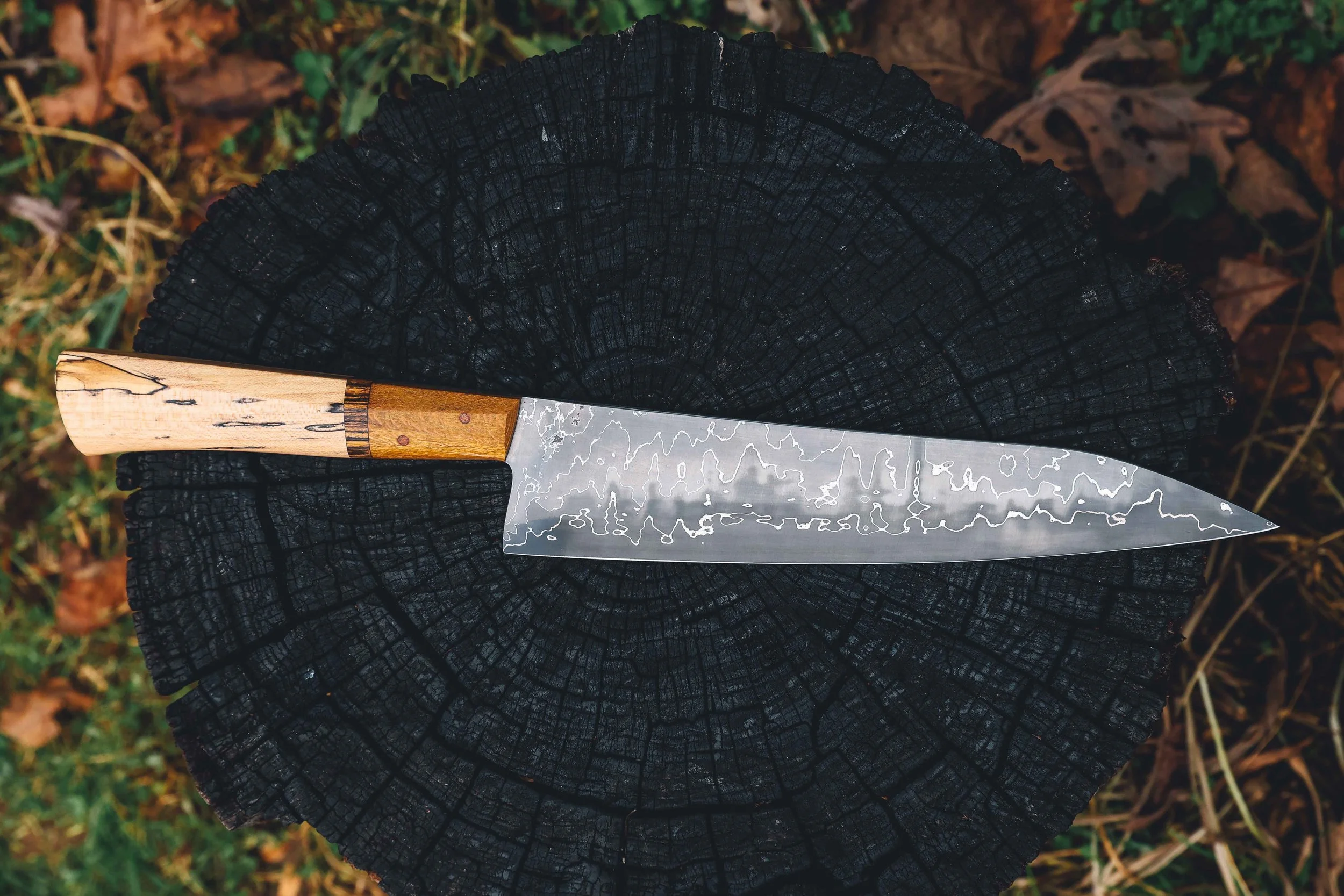 redo all photos-40.jpg