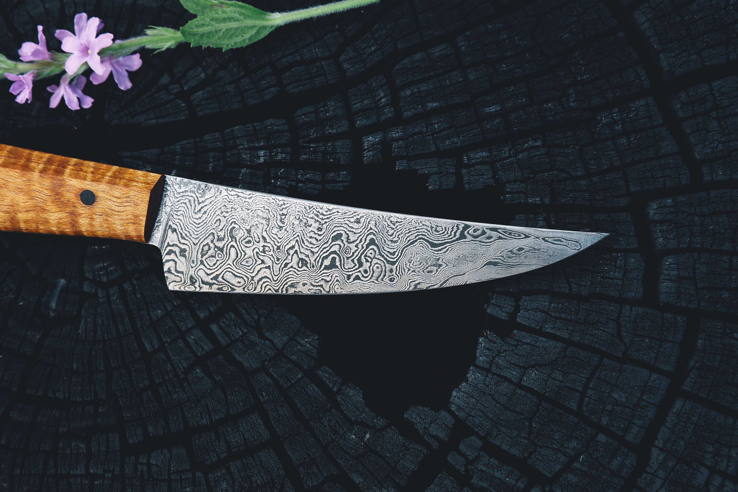 paring maple damascus-5.jpg