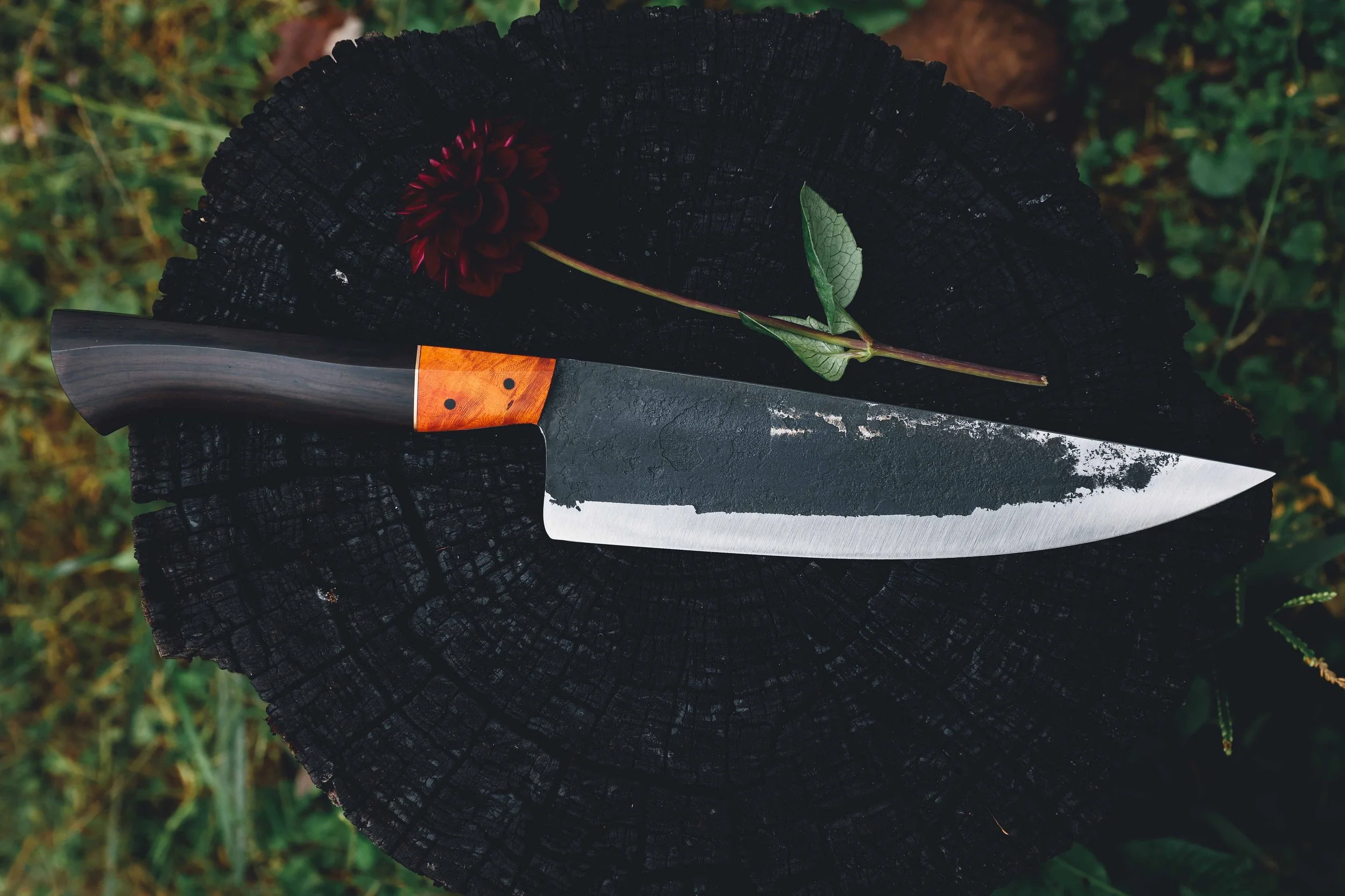 blackwood chef-4.jpg