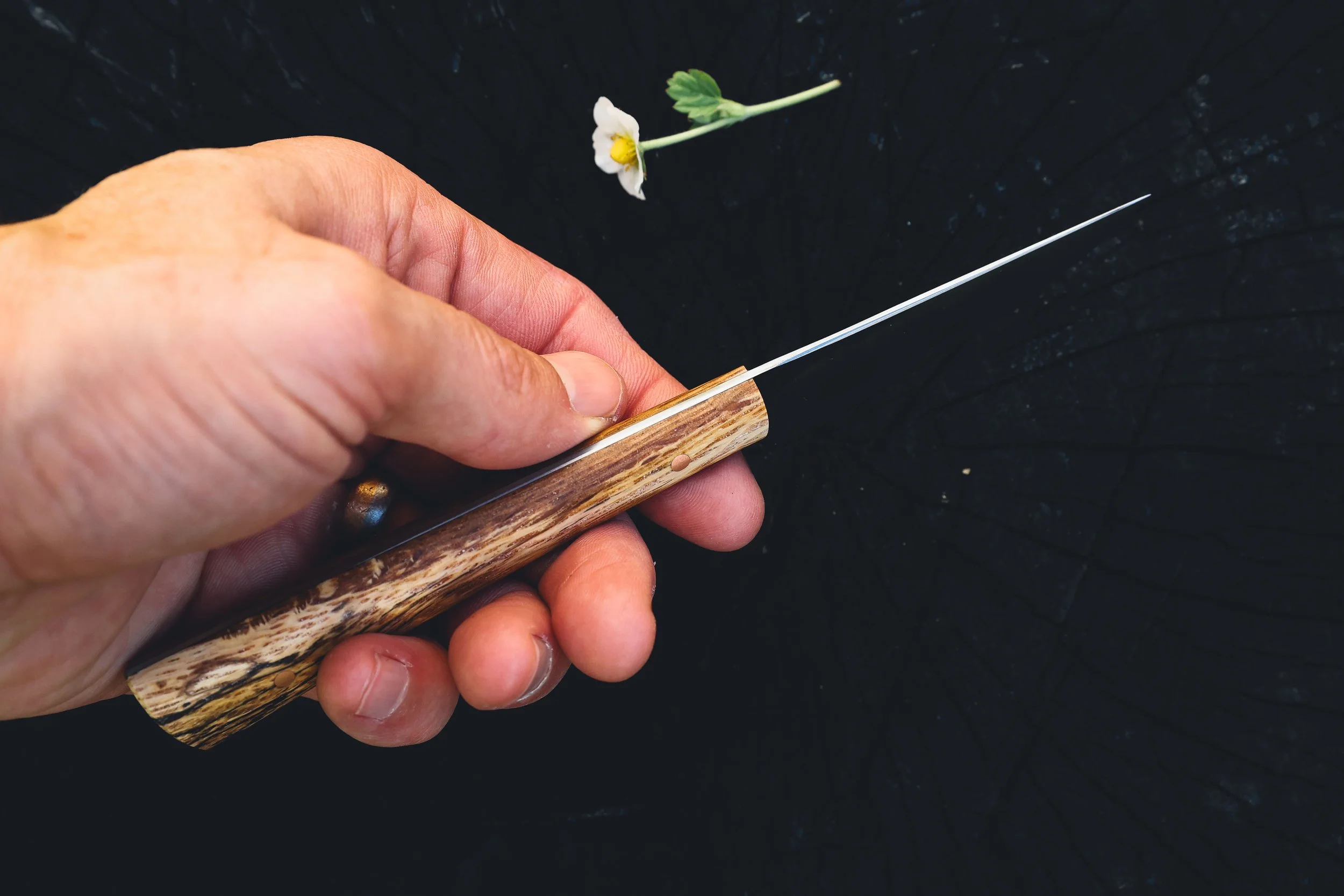 small shanks oak-3.jpg