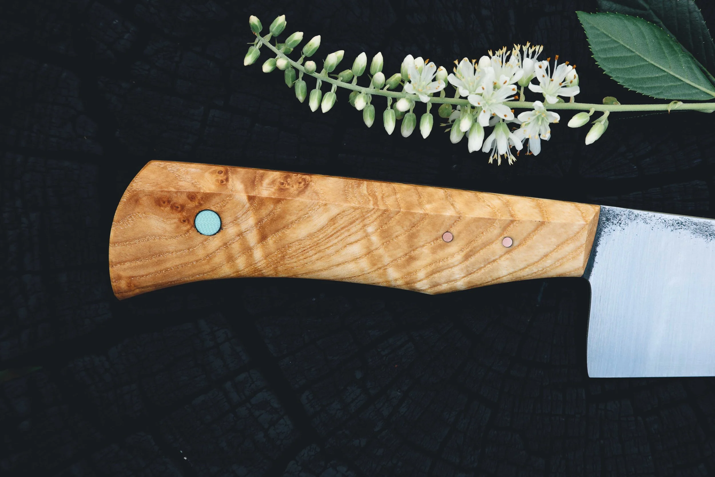 ktip ash burl-6.jpg
