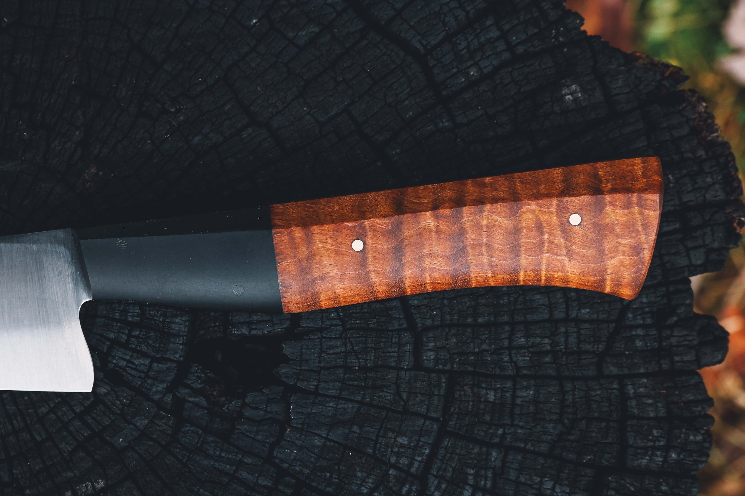 redo all photos-4.jpg