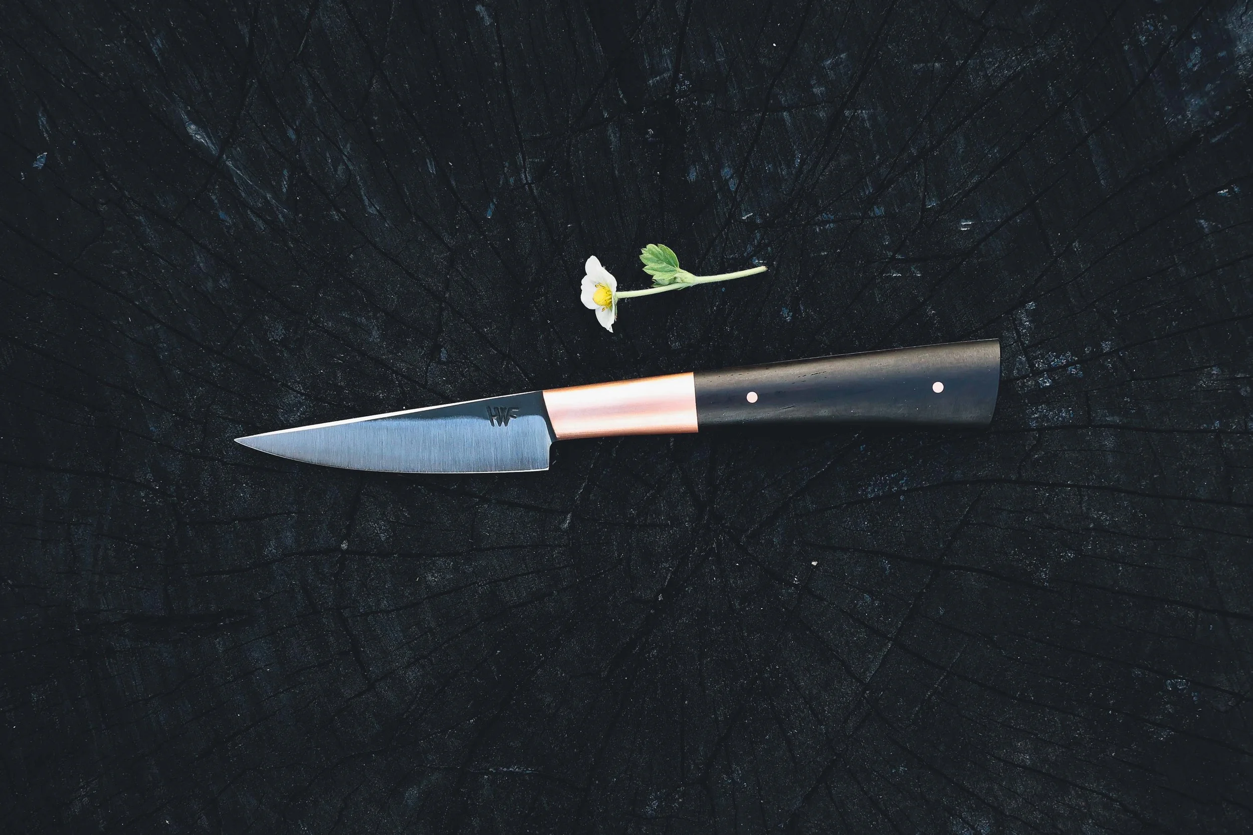 small copper blackwood.jpg