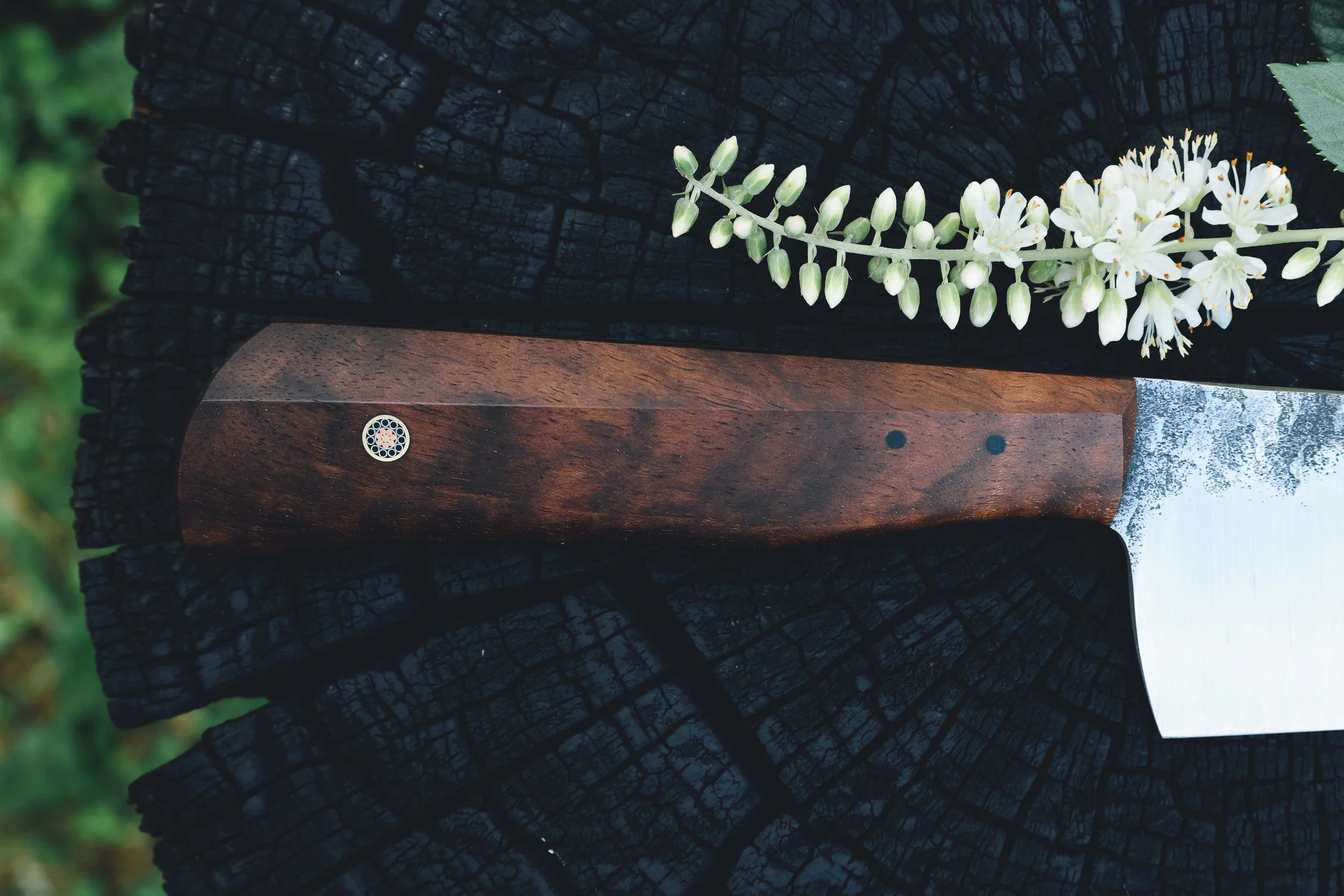 ktip walnut-6.jpg