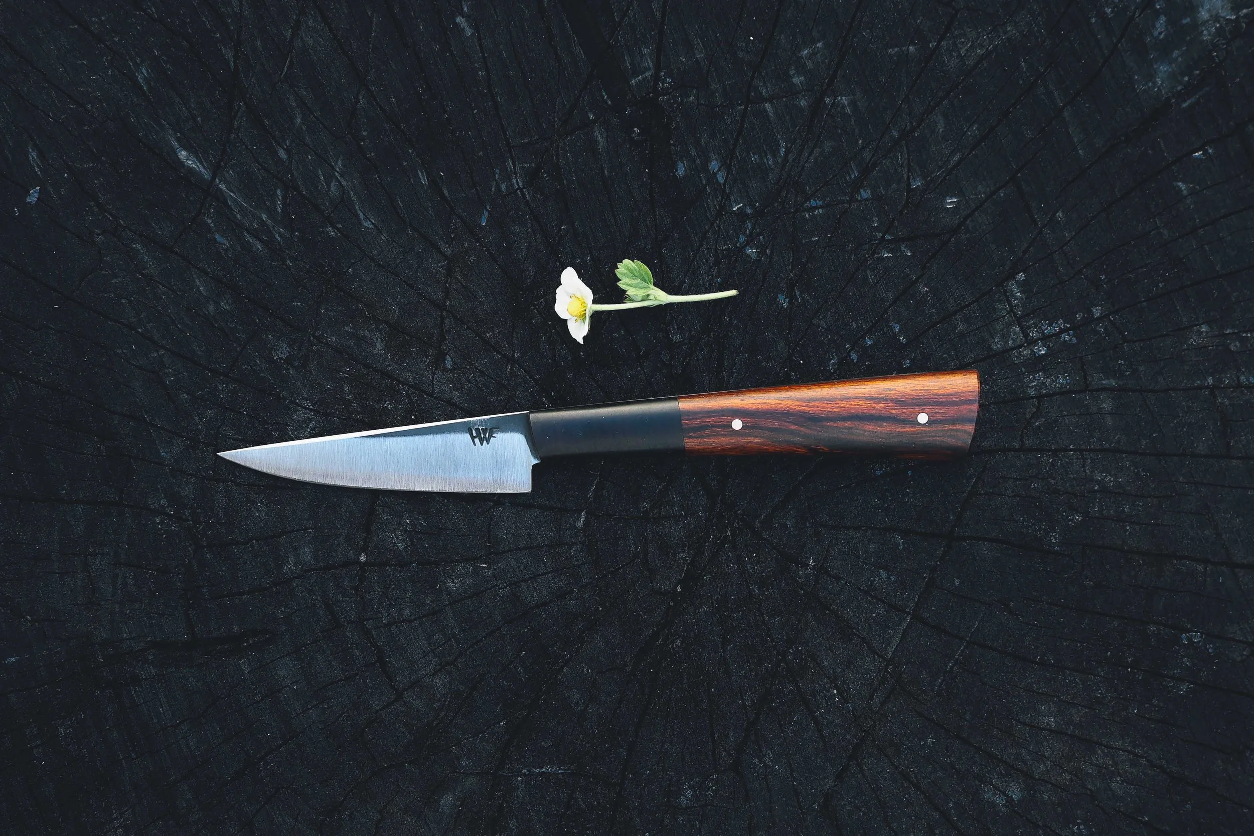 small ironwood blackwood.jpg