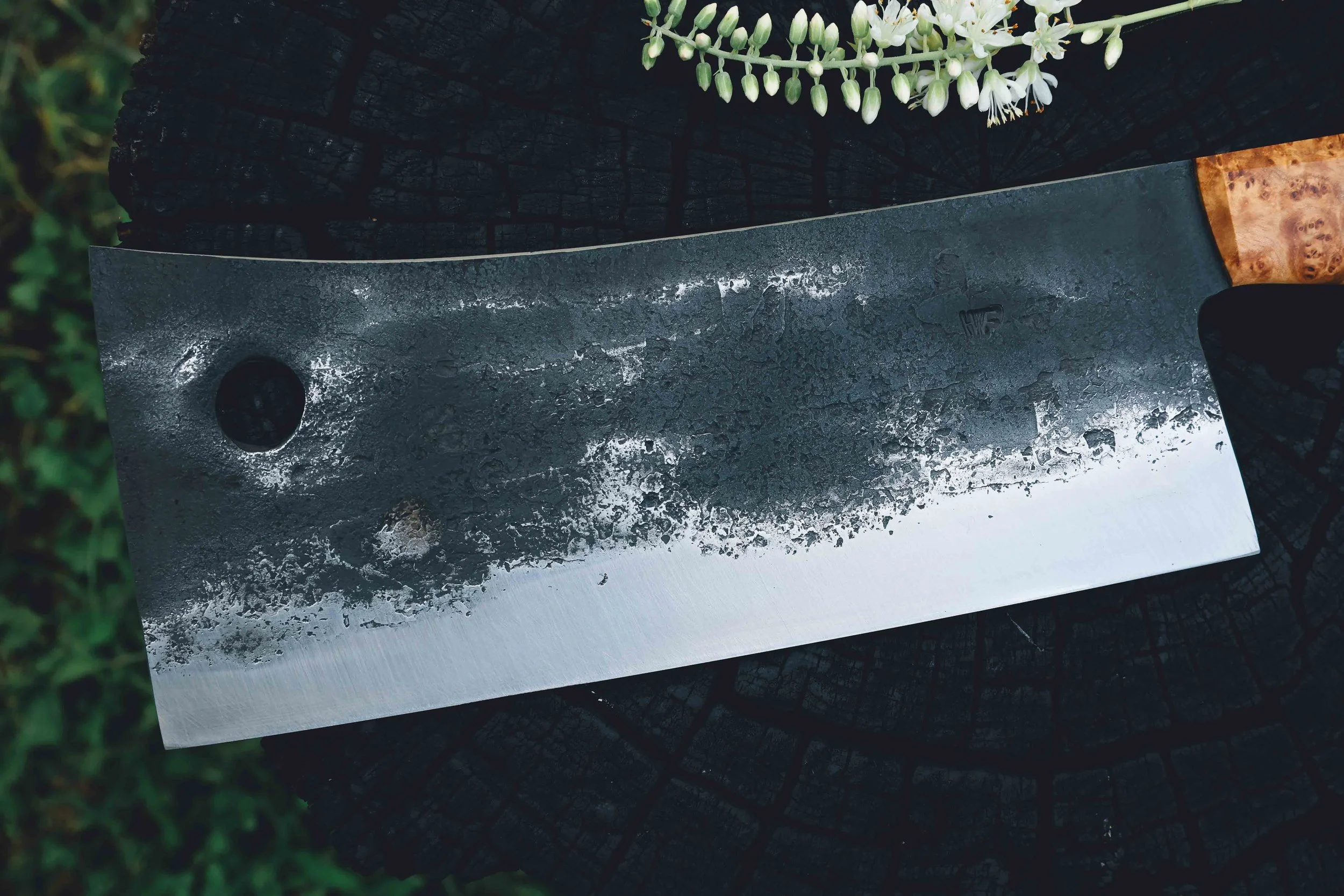 ashburl cleaver-2.jpg