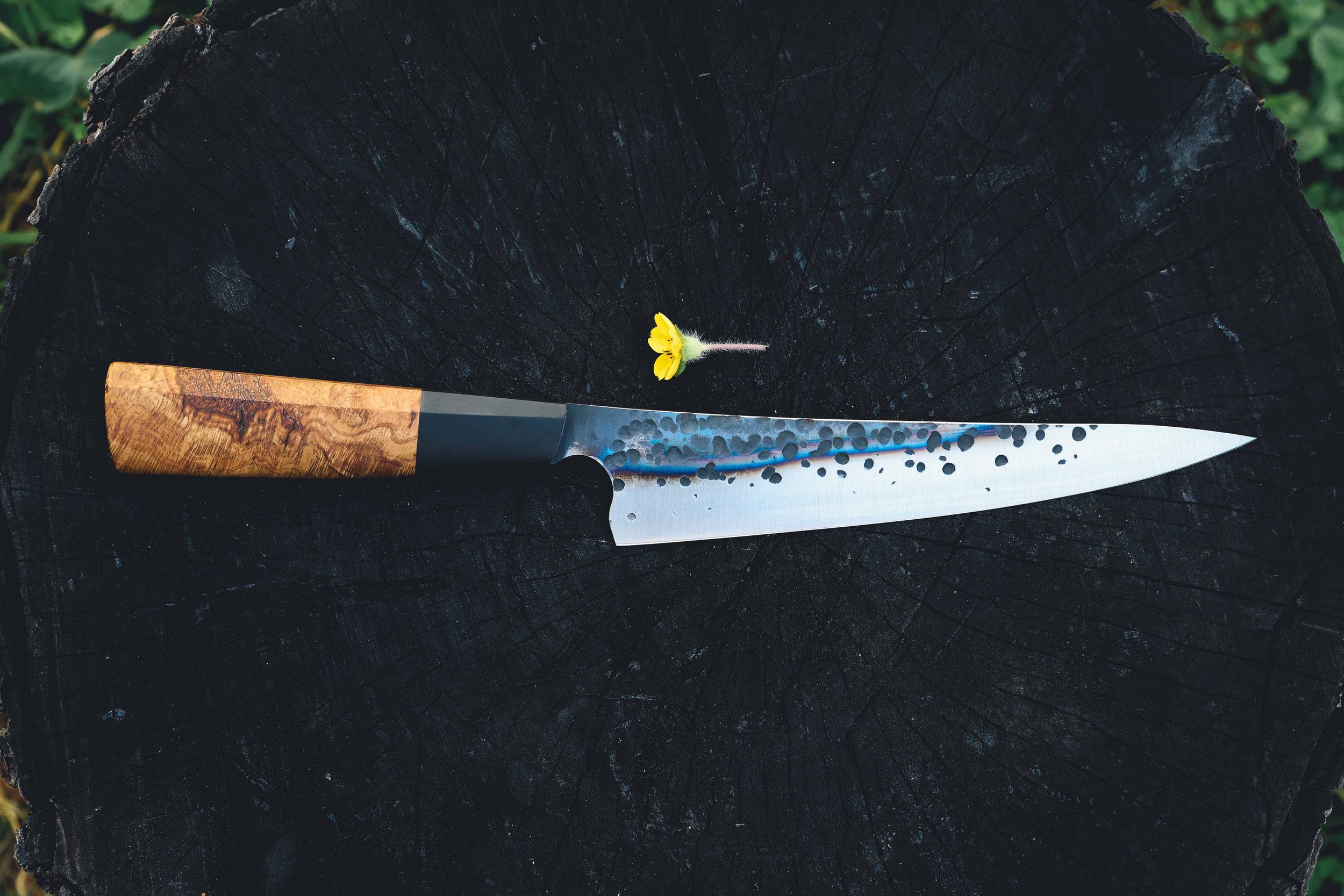 oak burl petty-2.jpg