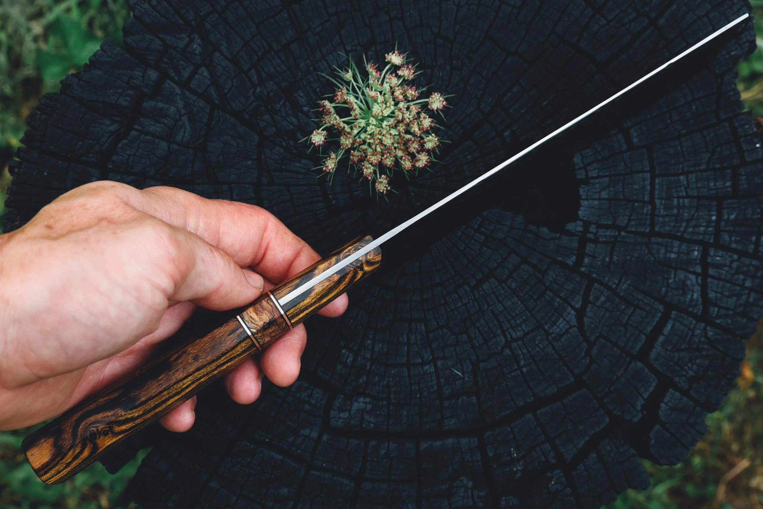 nakiri bocote trout-7.jpg