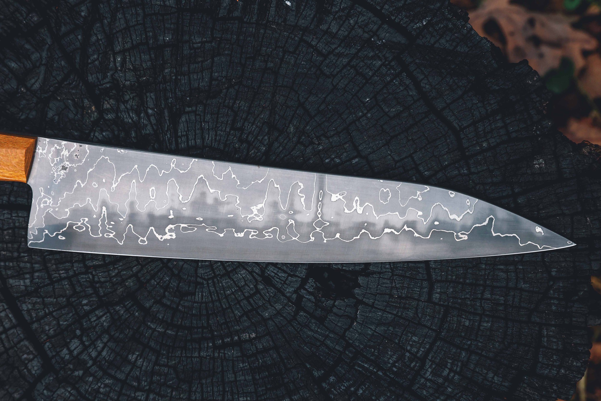 redo all photos-41.jpg