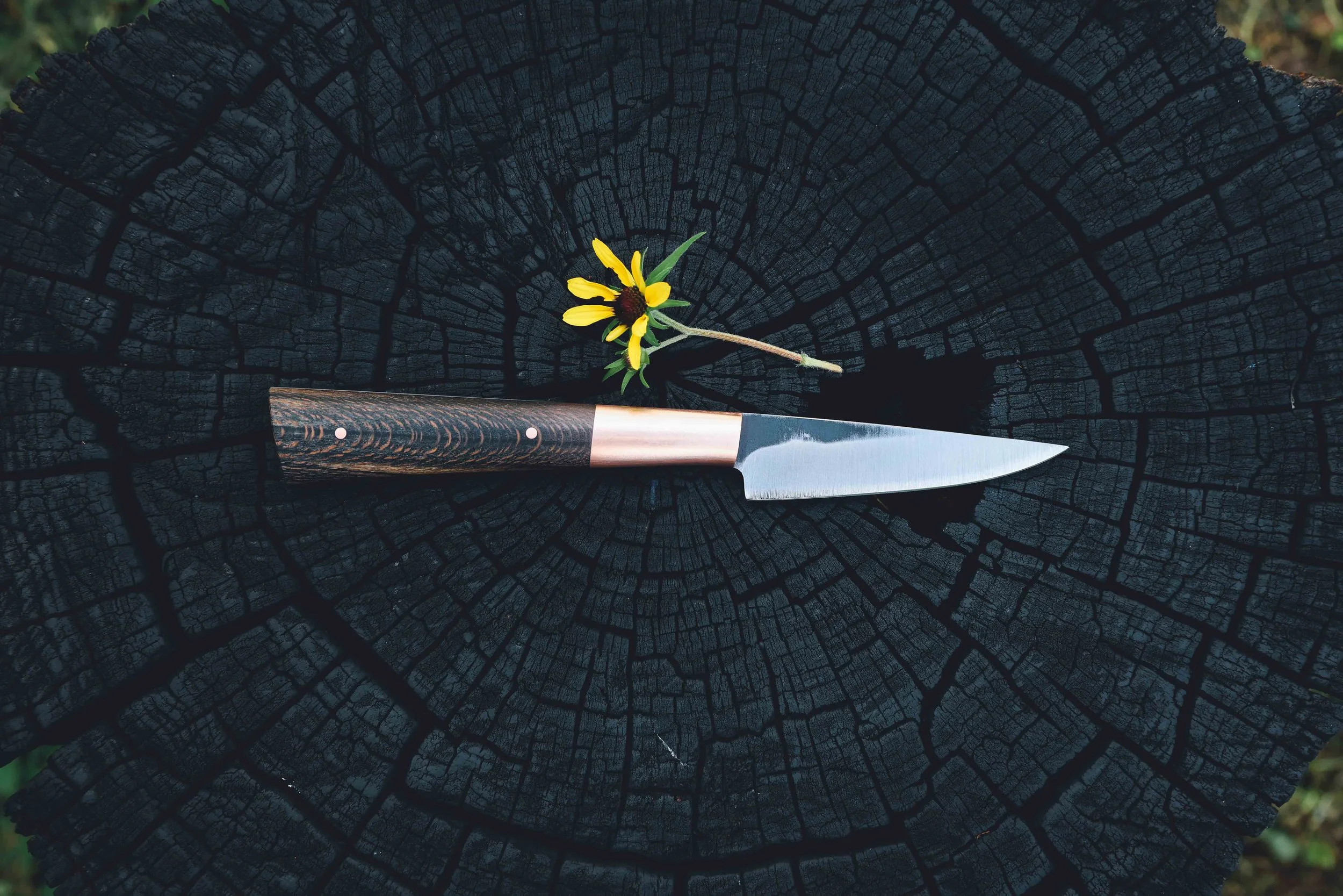 small syca copper-2.jpg
