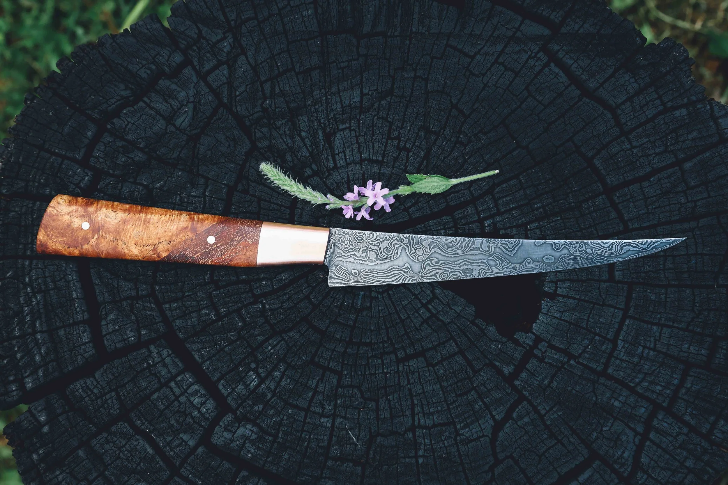 oak burl copper damascus-4.jpg
