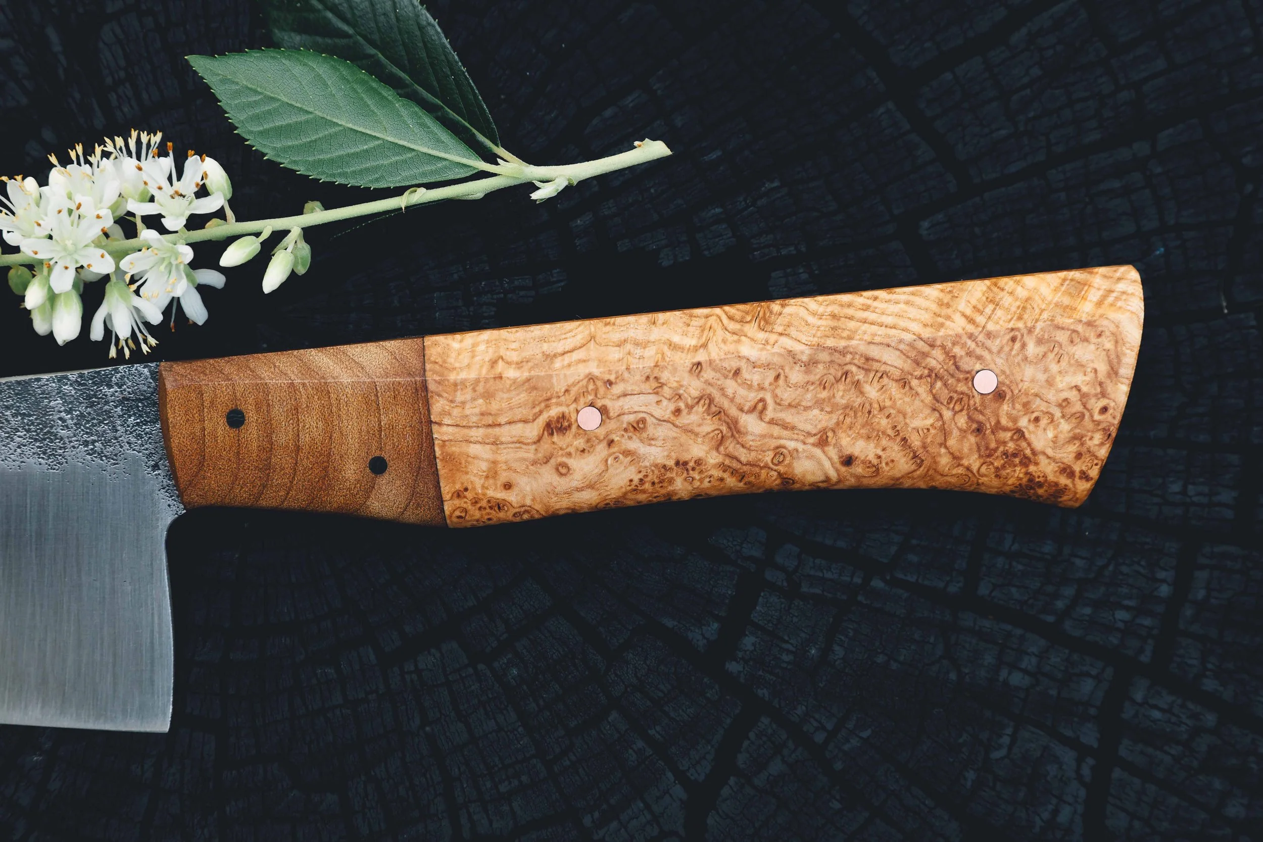ktip ashburl gibson maple-3.jpg
