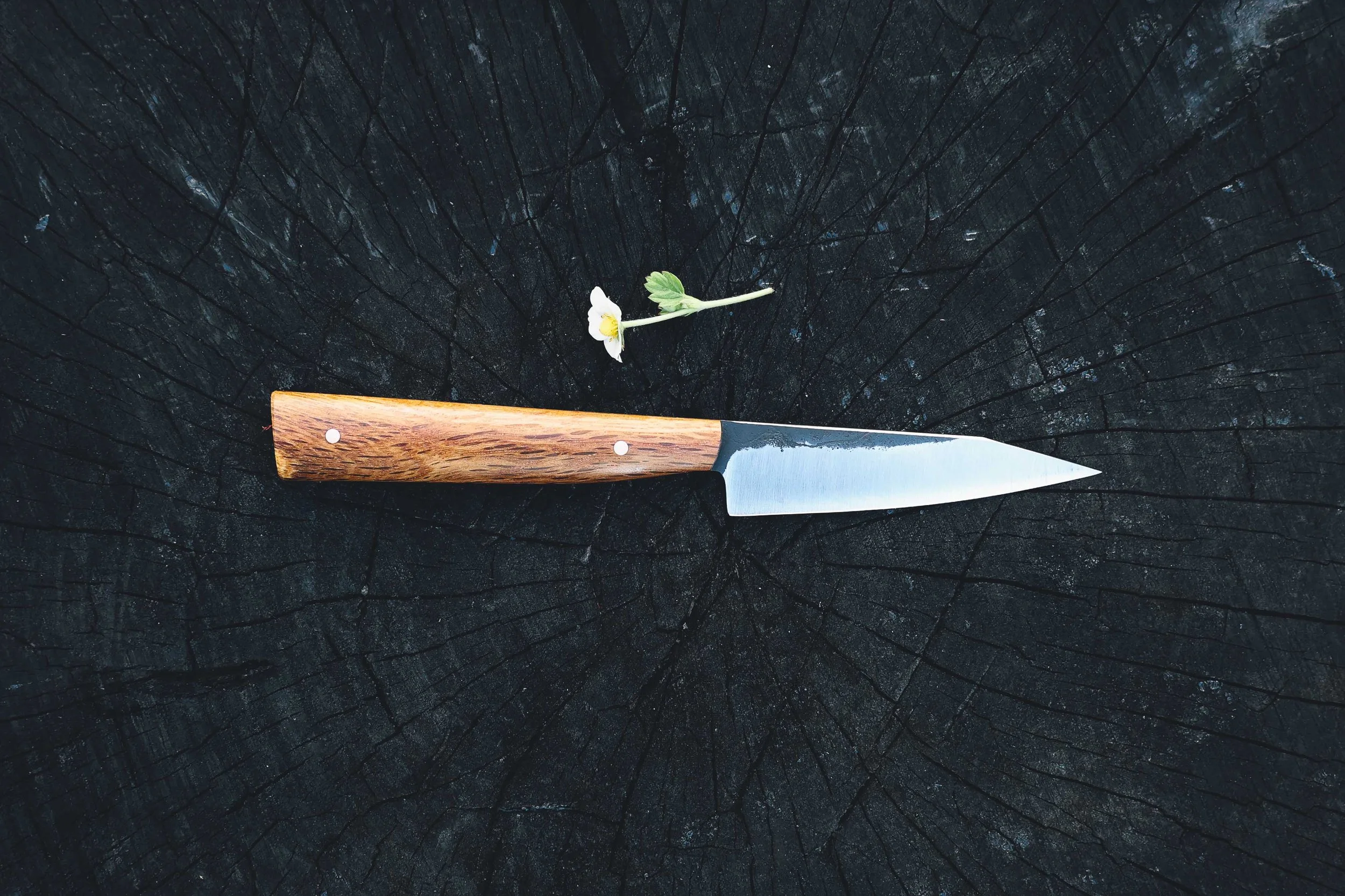 k-tip shanks oak-2.jpg