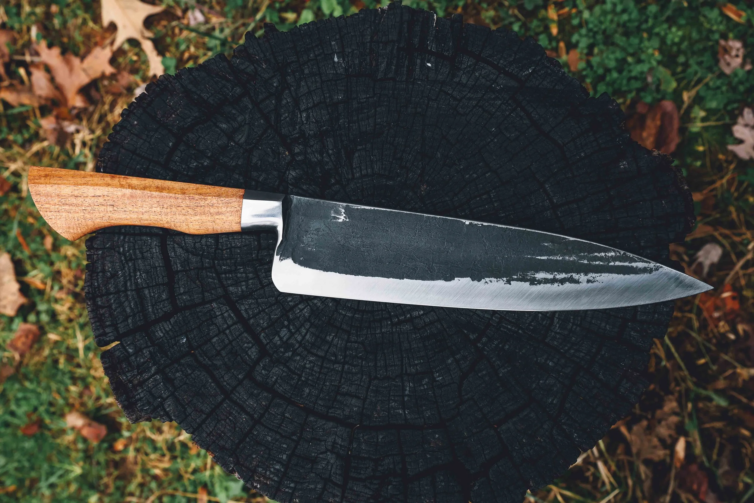 redo all photos-12.jpg