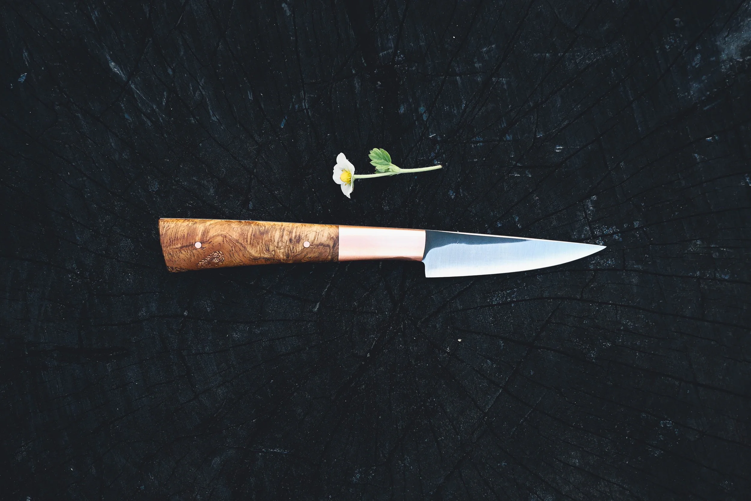 small copper oak burl-2.jpg