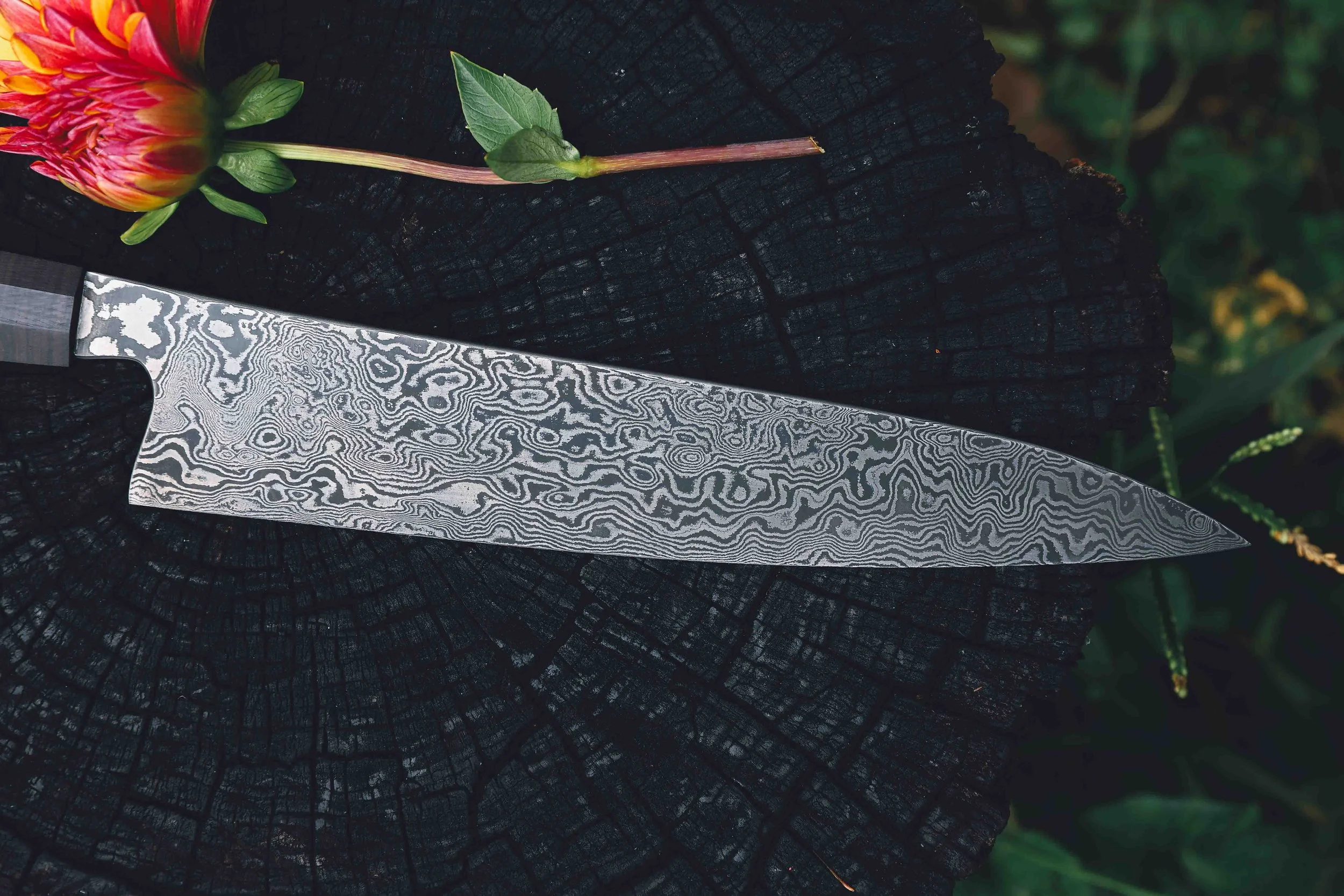 antique cherry sujichef damascus-6.jpg