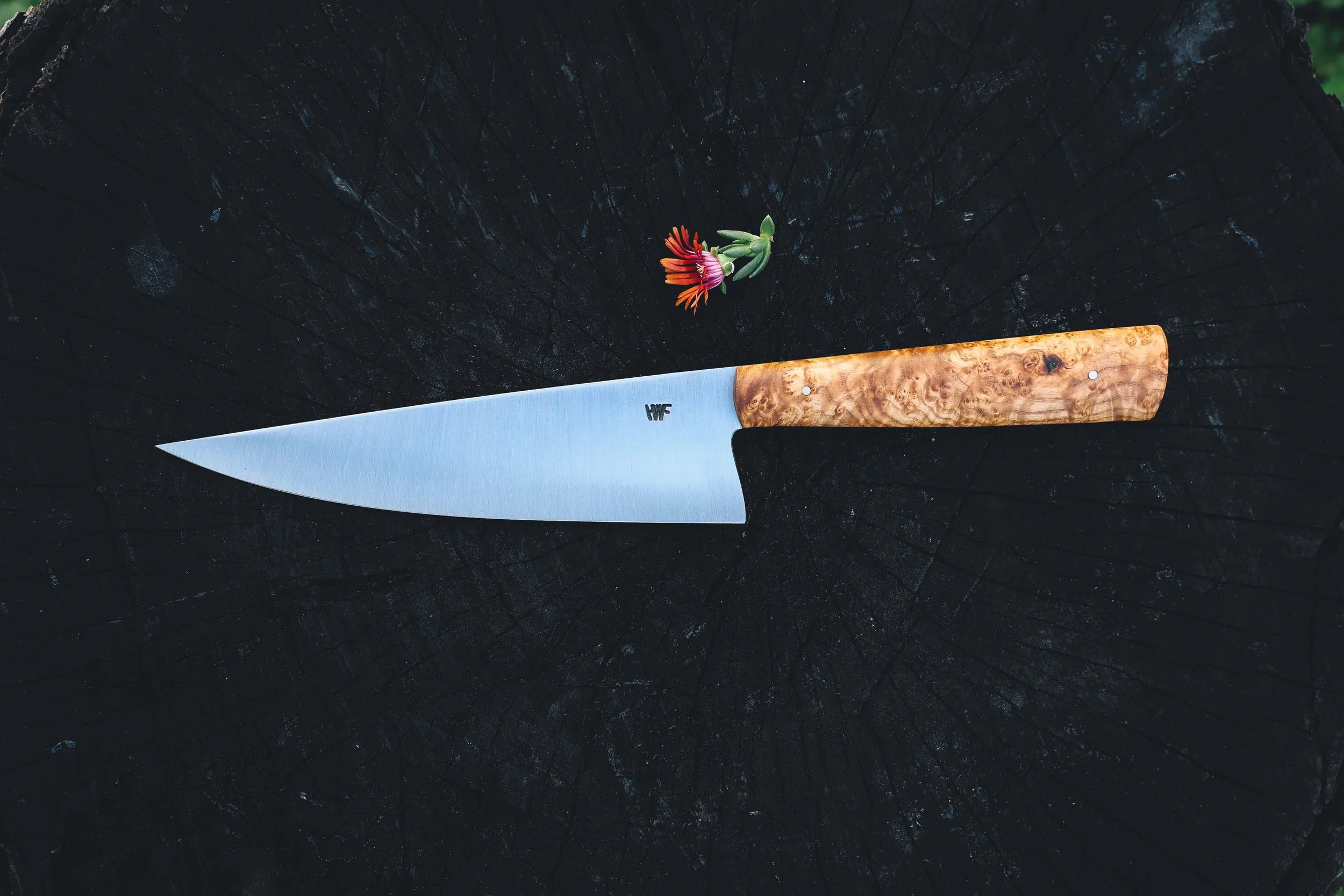 ashburl lowlight chef.jpg
