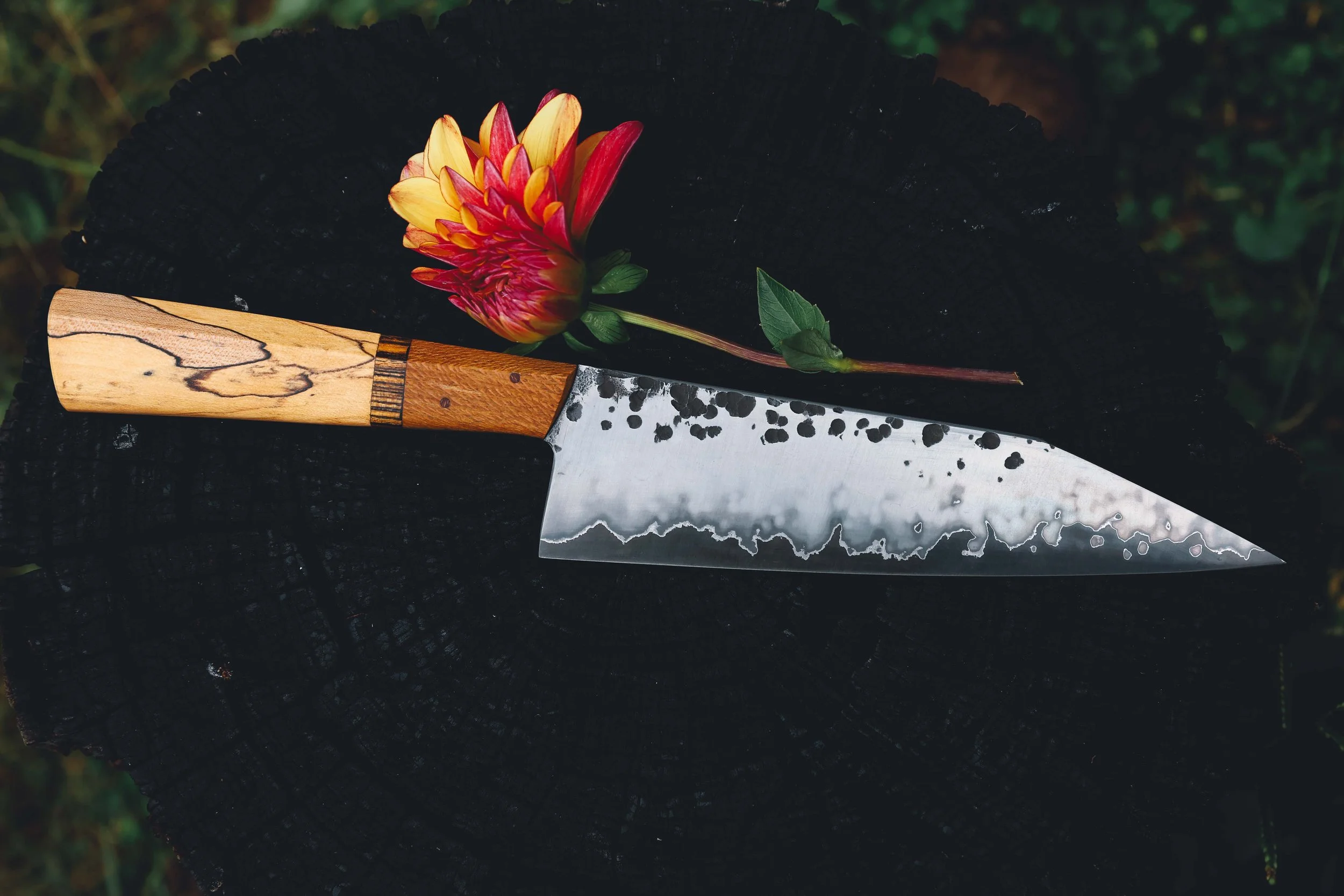 spalted maple sycamore stainless clad-4.jpg