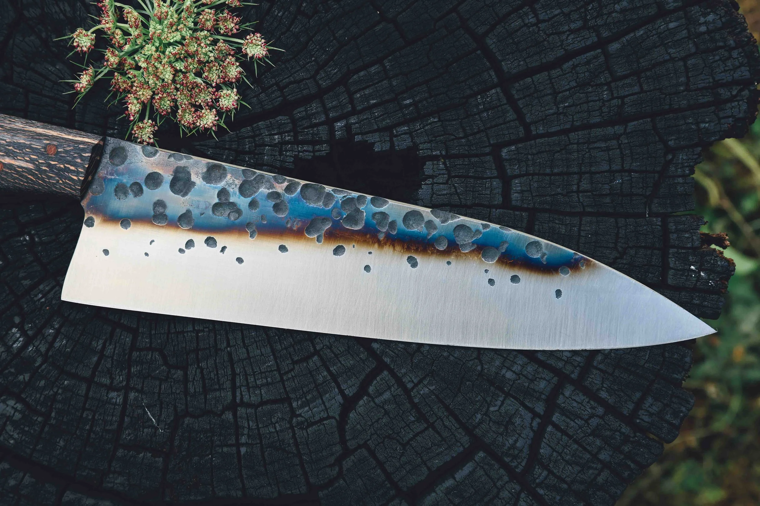 small chef thuya syca trout_-5.jpg