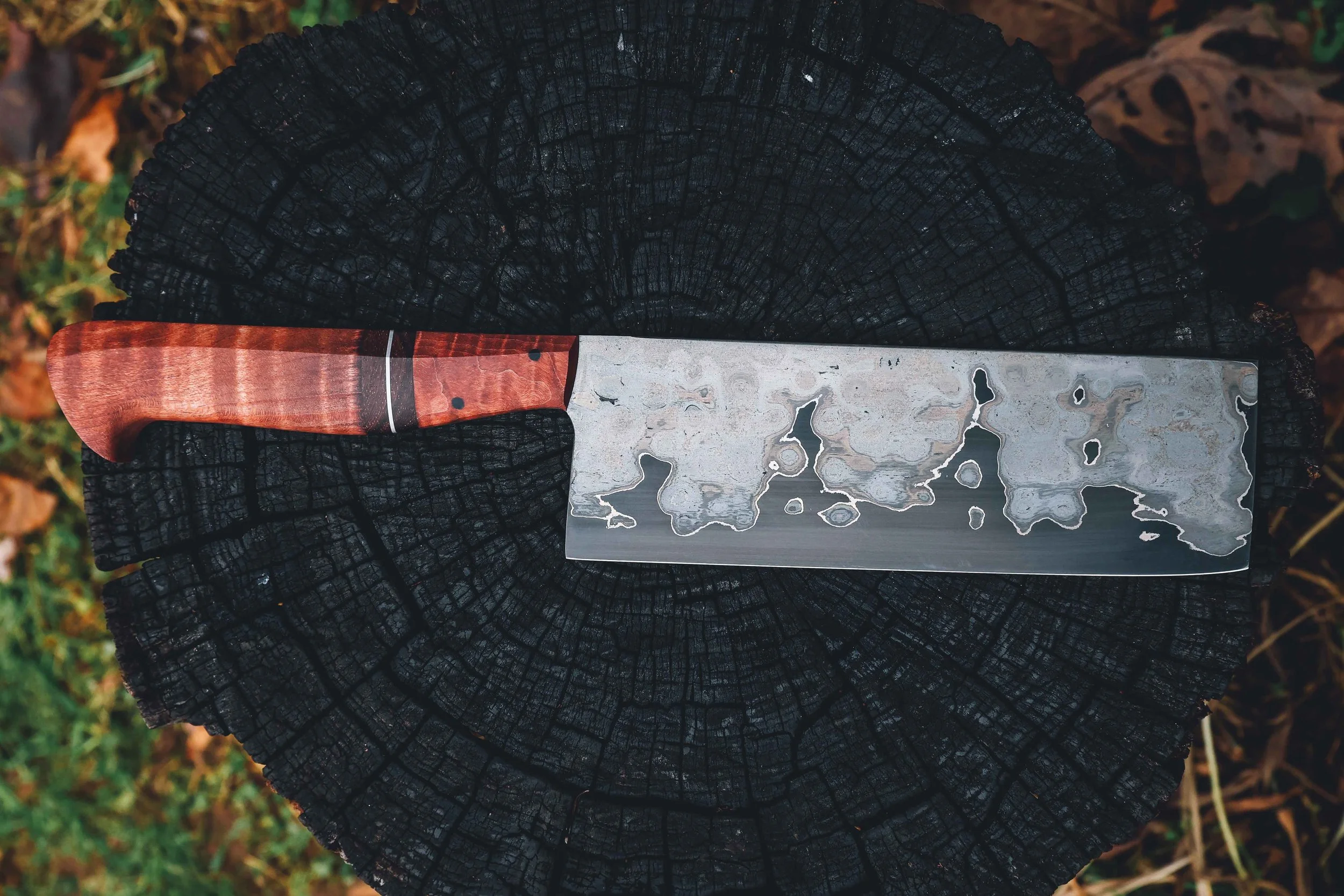 redo all photos-47.jpg