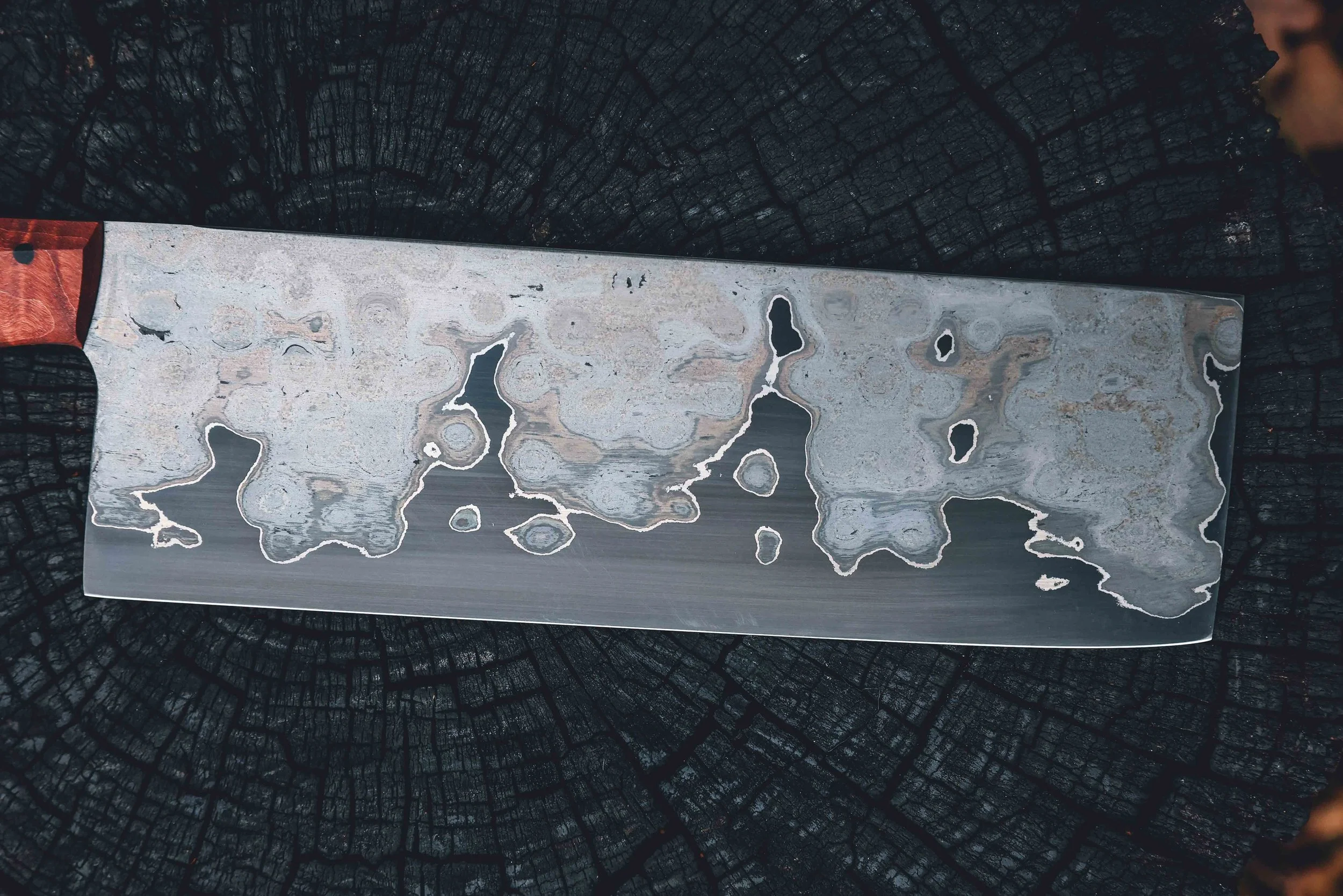 redo all photos-48.jpg