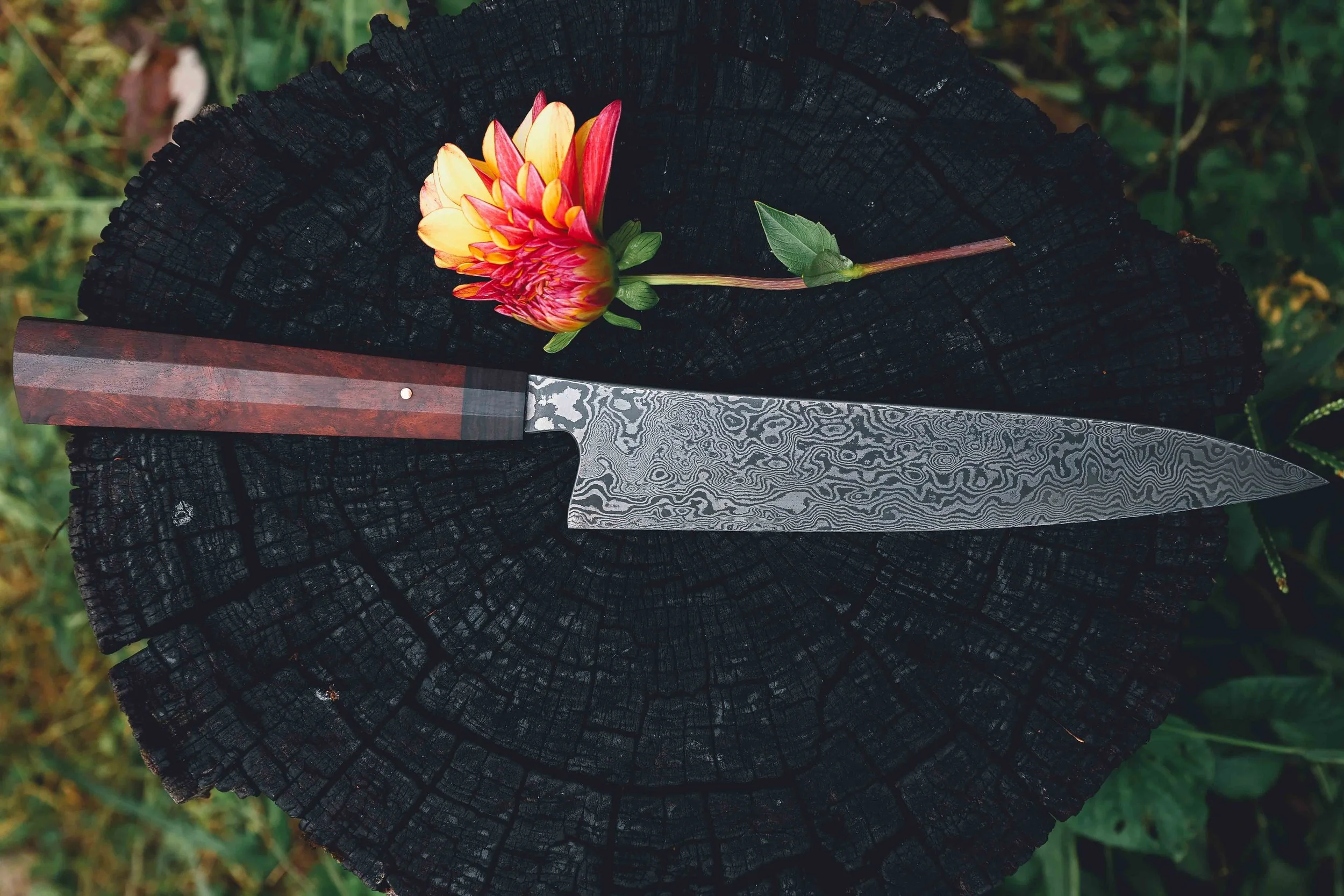 antique cherry sujichef damascus-4.jpg