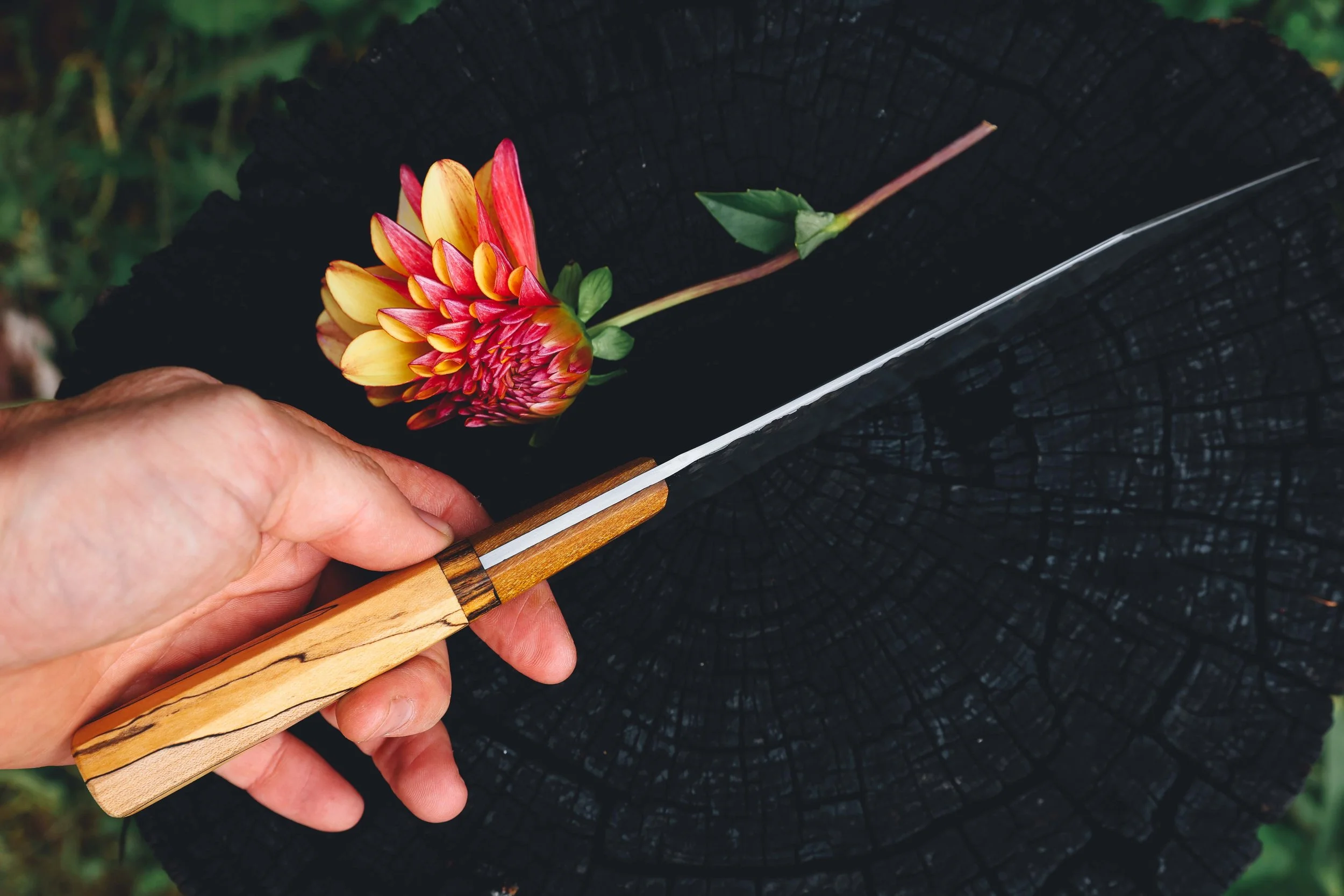 spalted maple sycamore stainless clad-7.jpg