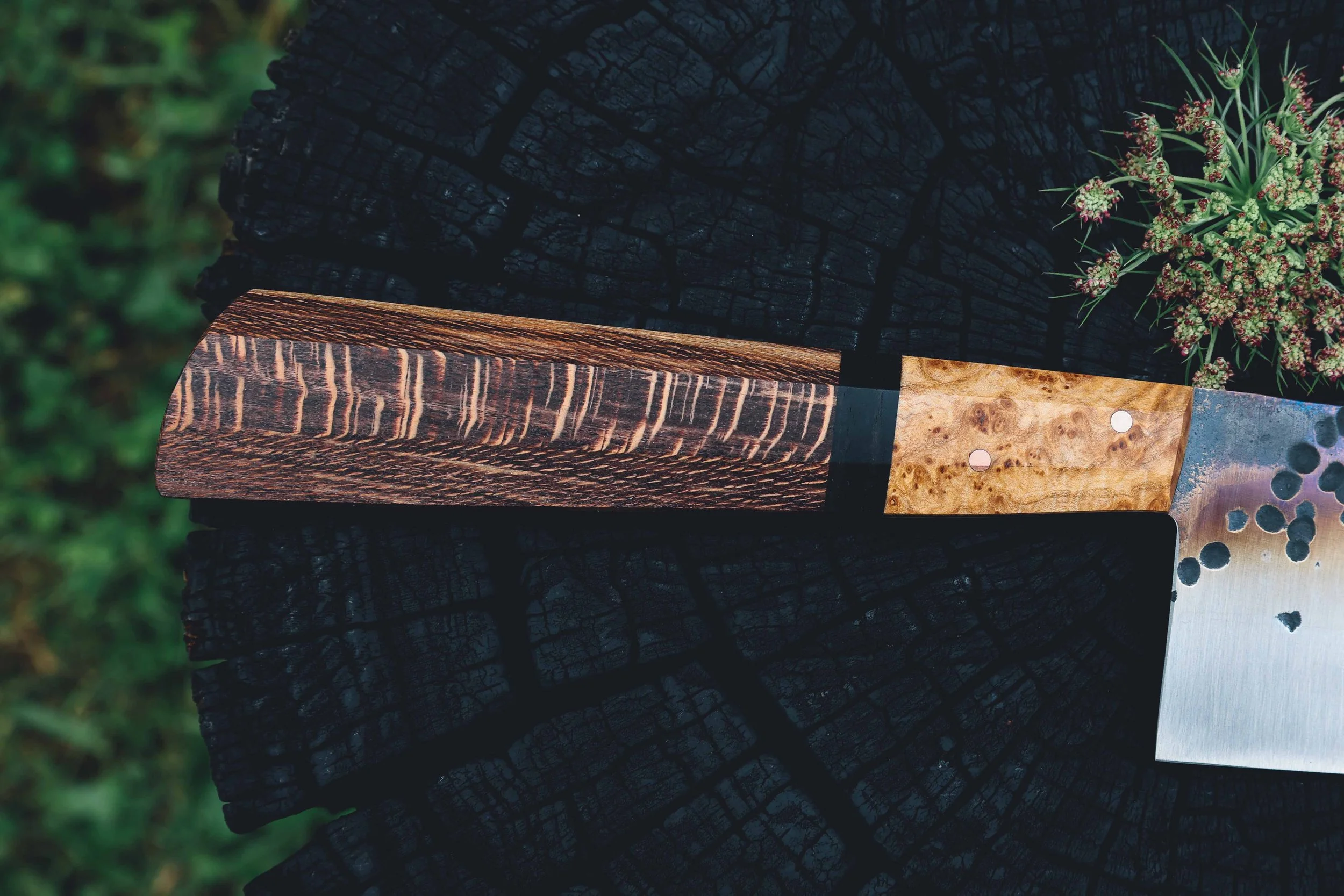 nakiri syca trout-6.jpg