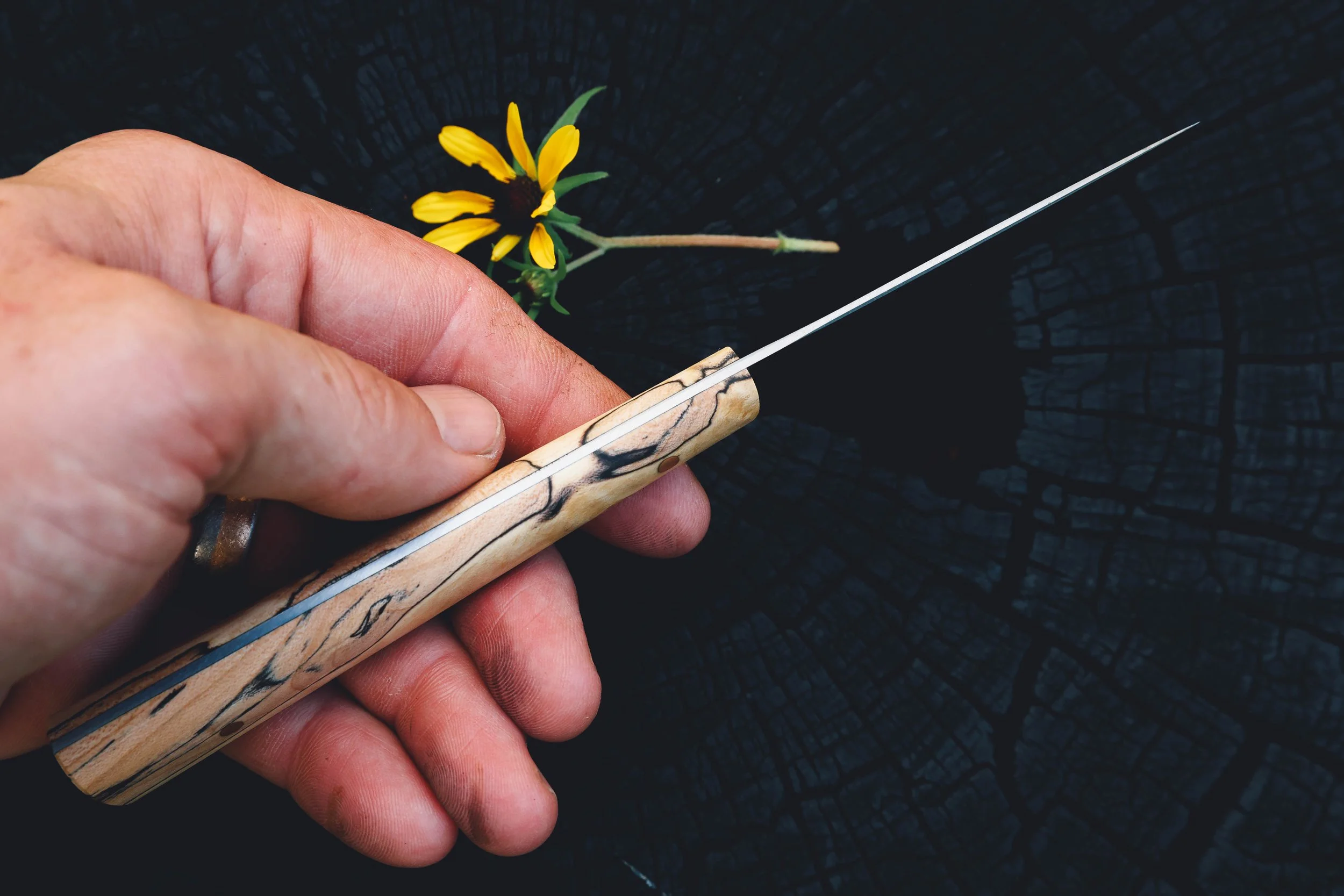 small spalted-3.jpg