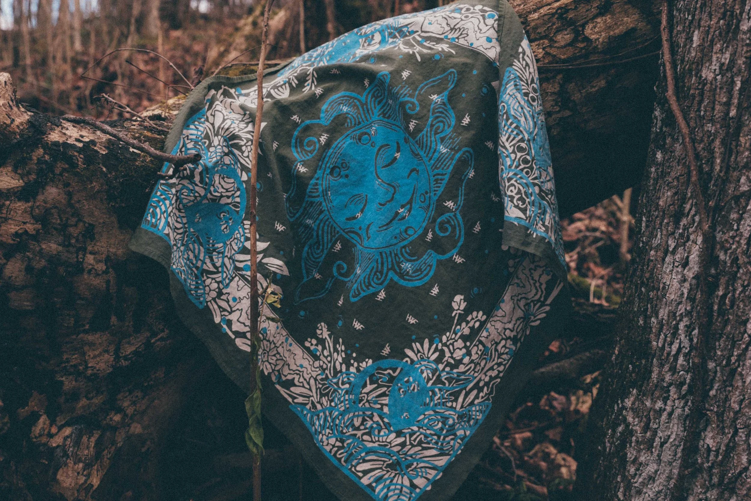 solctice bandana on log-4.jpg