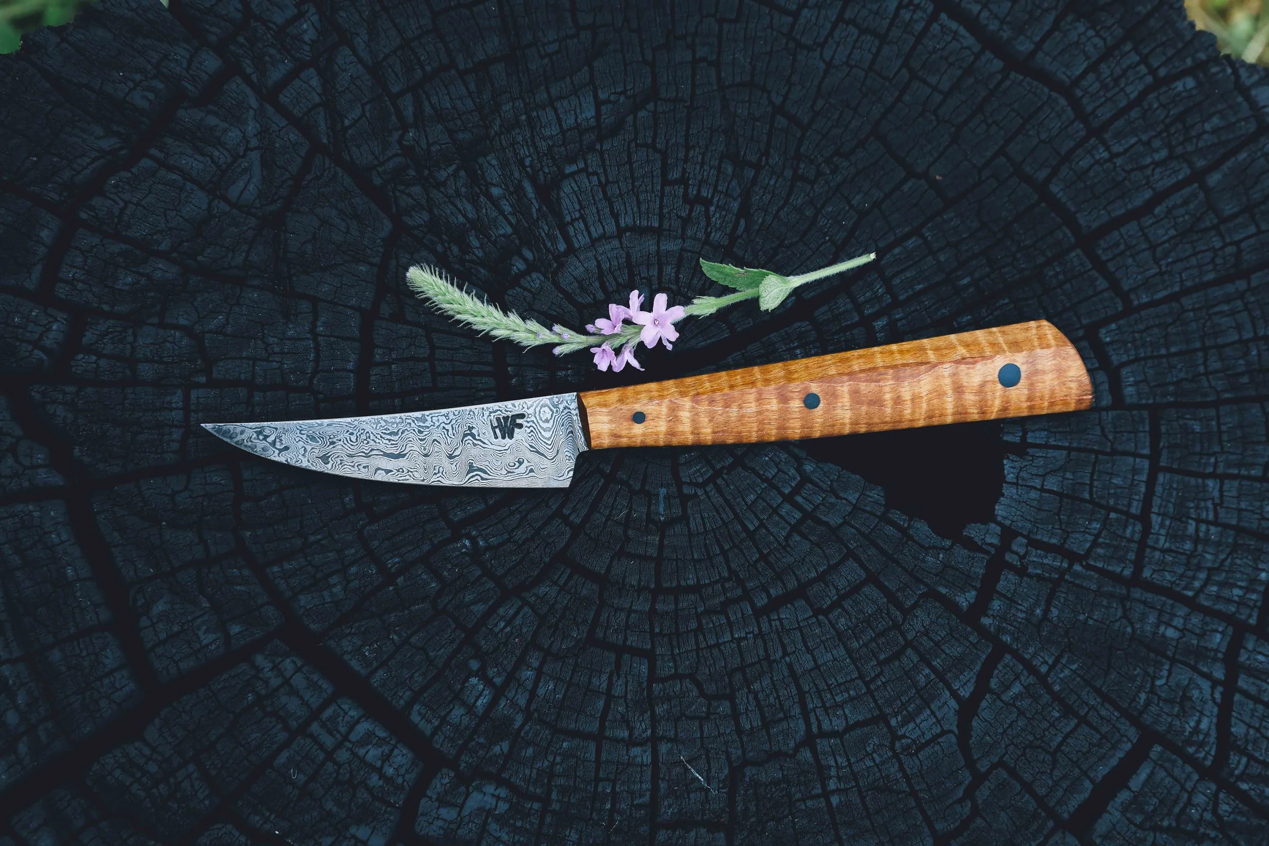 paring maple damascus.jpg