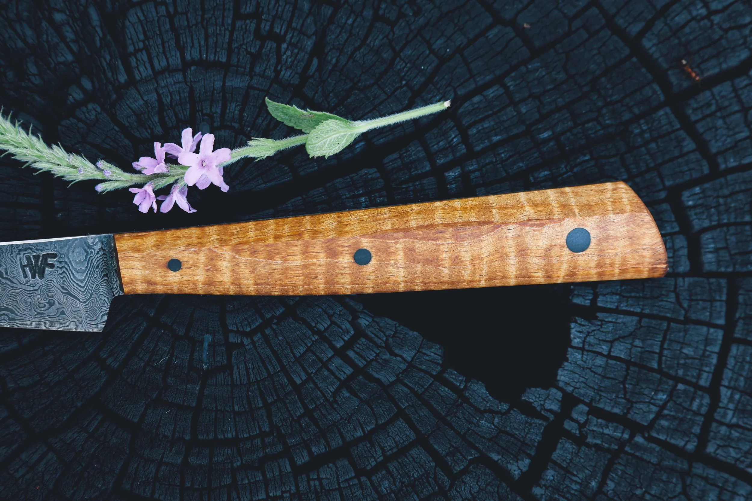 paring maple damascus-3.jpg
