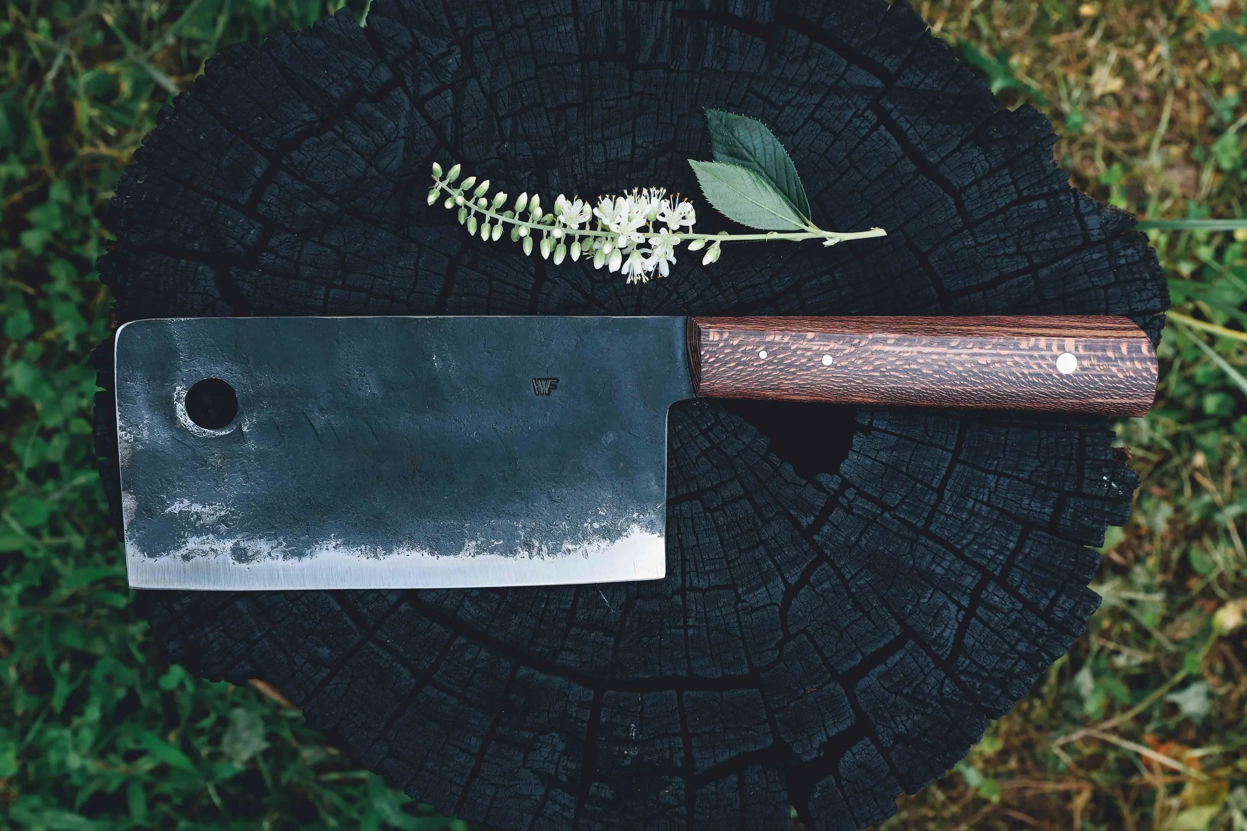 syca cleaver.jpg