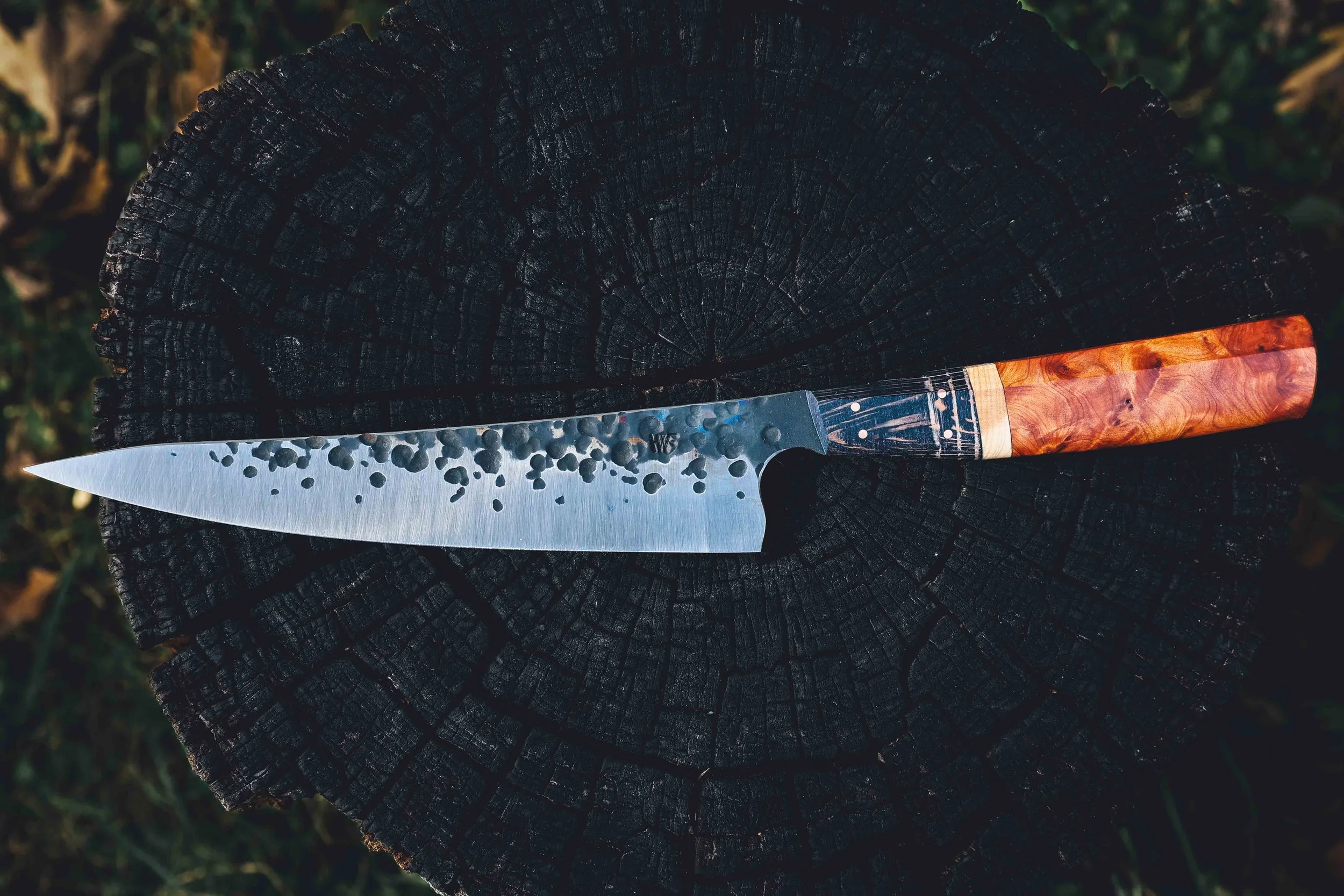 thuya ash bs syca-3.jpg (Copy)