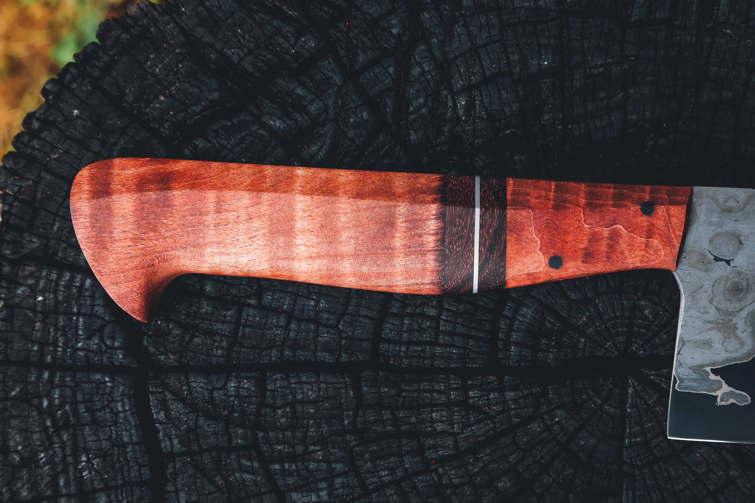 redo all photos-49.jpg