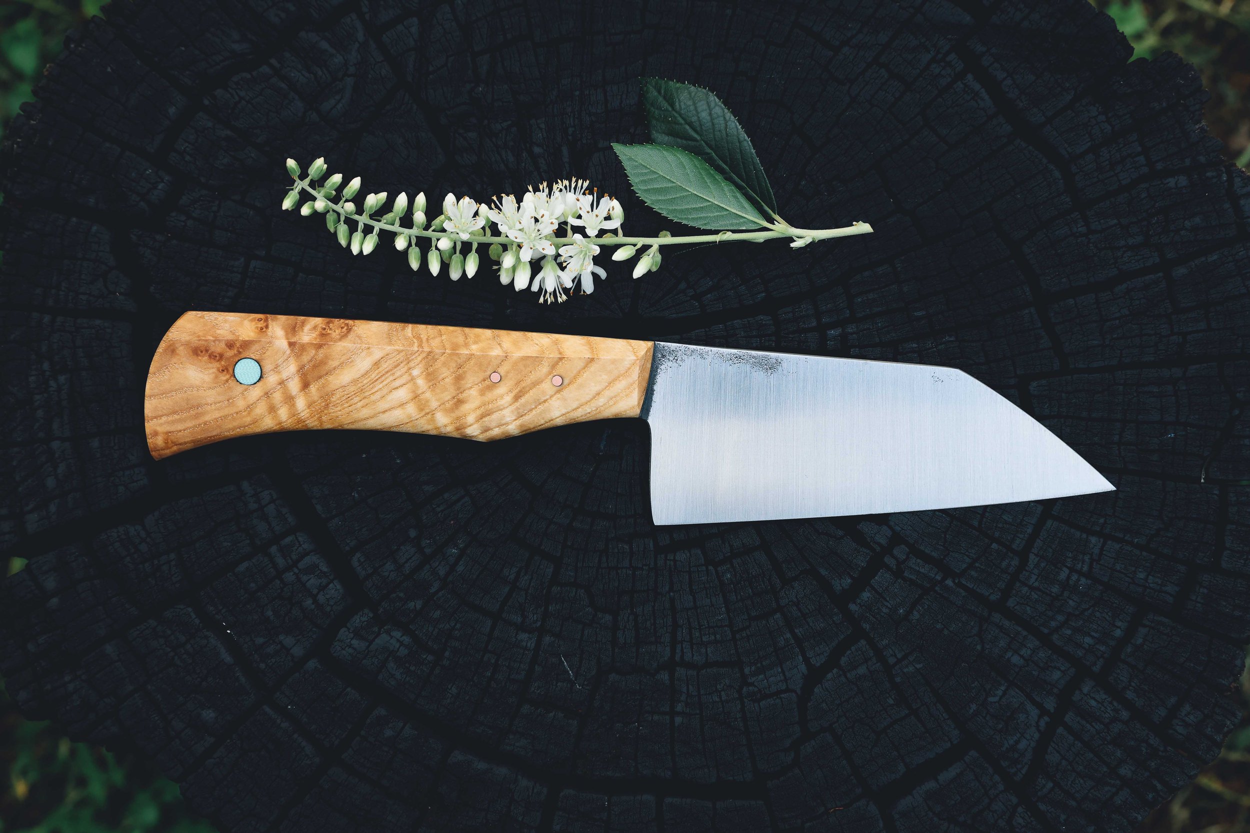 ktip ash burl-4.jpg