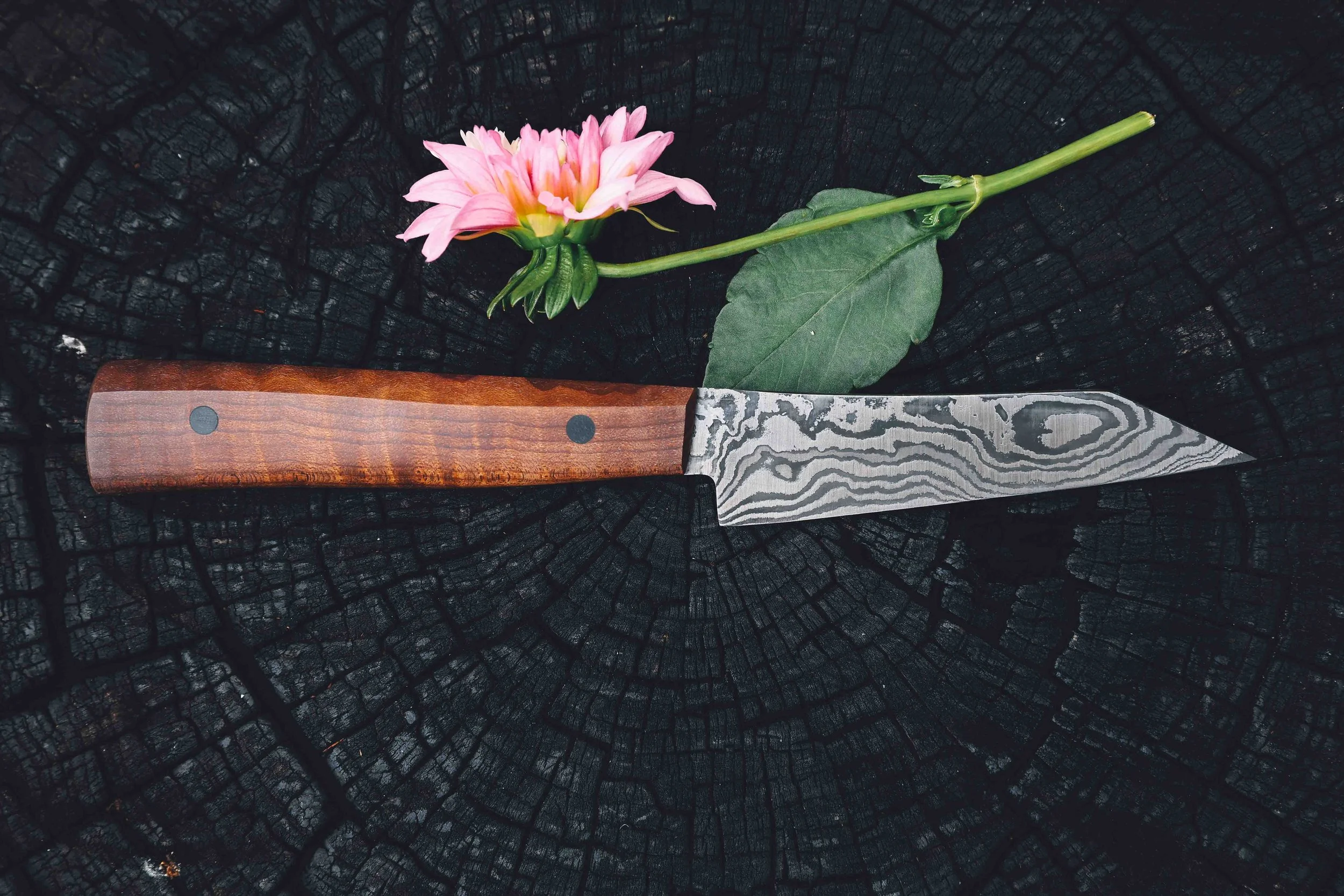 toasted curly maple-4.jpg