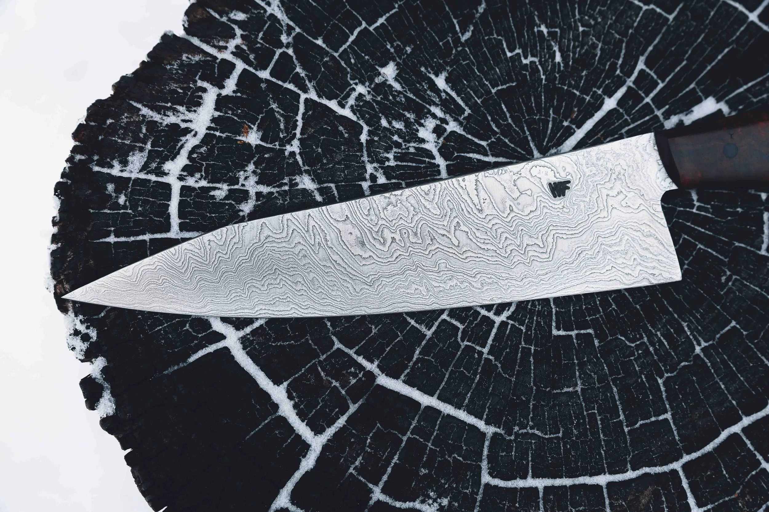 ironwood dammy chef-2.jpg